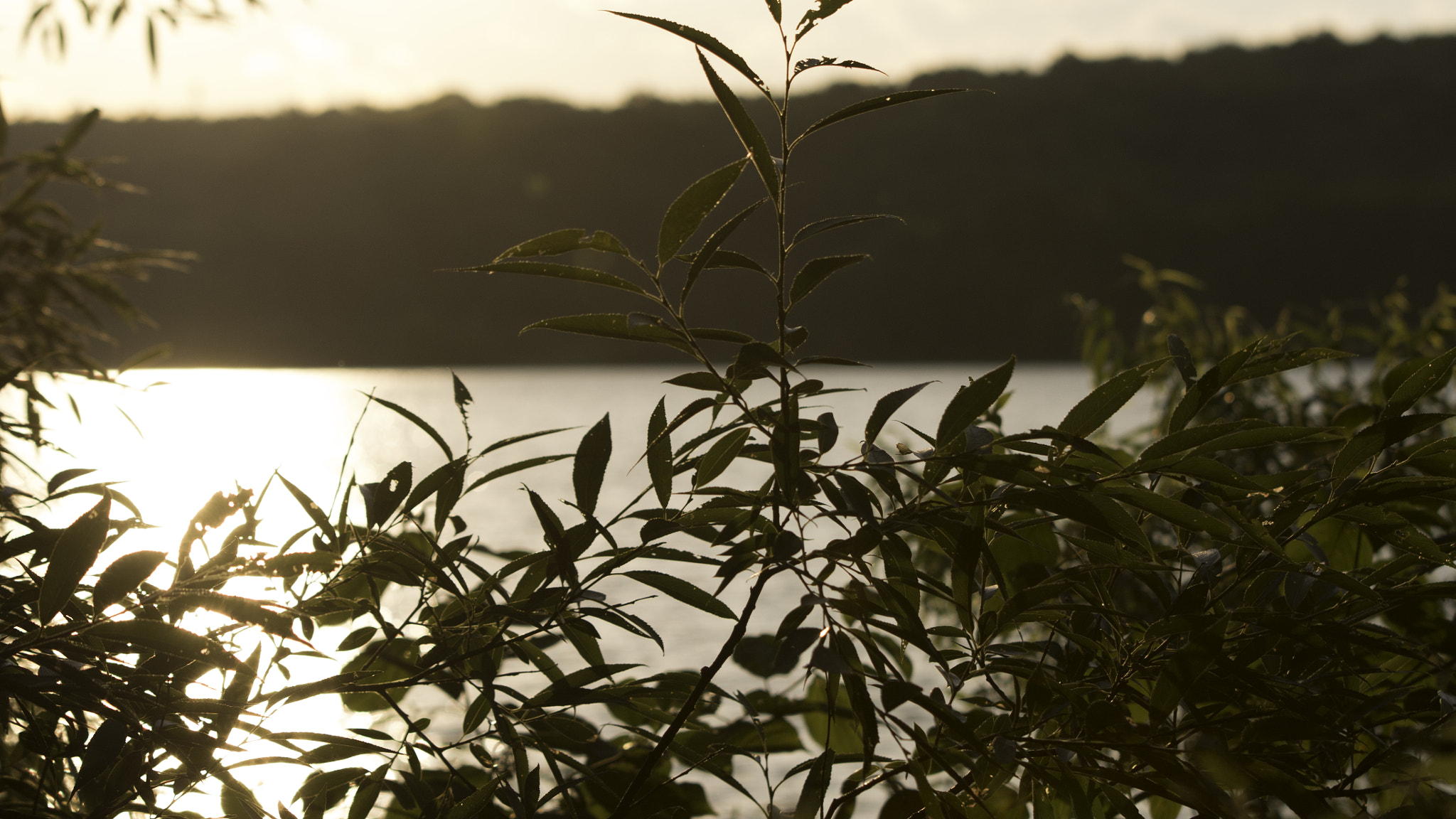 Sigma 70-200mm F2.8 EX DG OS HSM sample photo. Sun set through the river photography