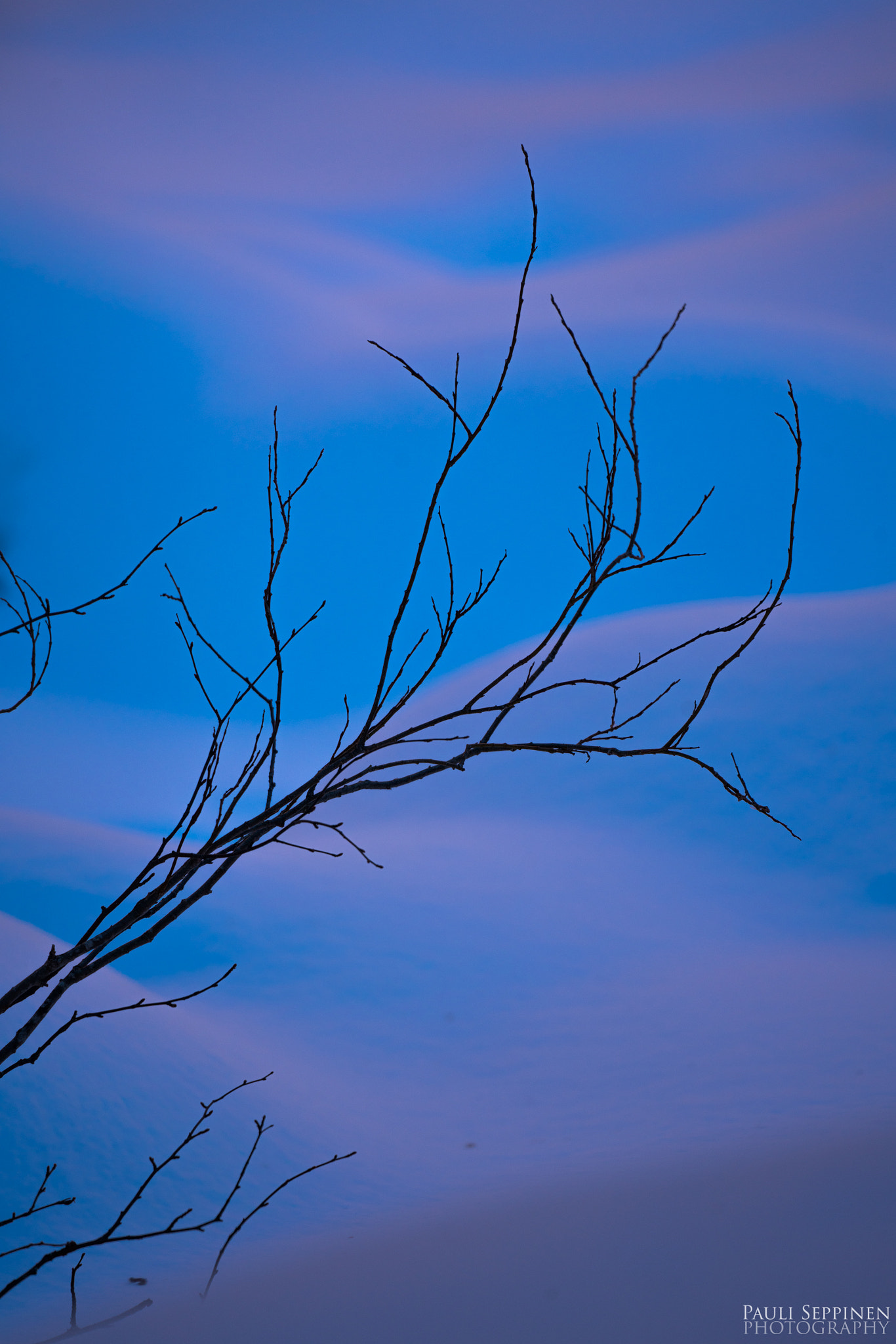 150-600mm F5-6.3 DG OS HSM | Contemporary 015 sample photo. Red and blue photography