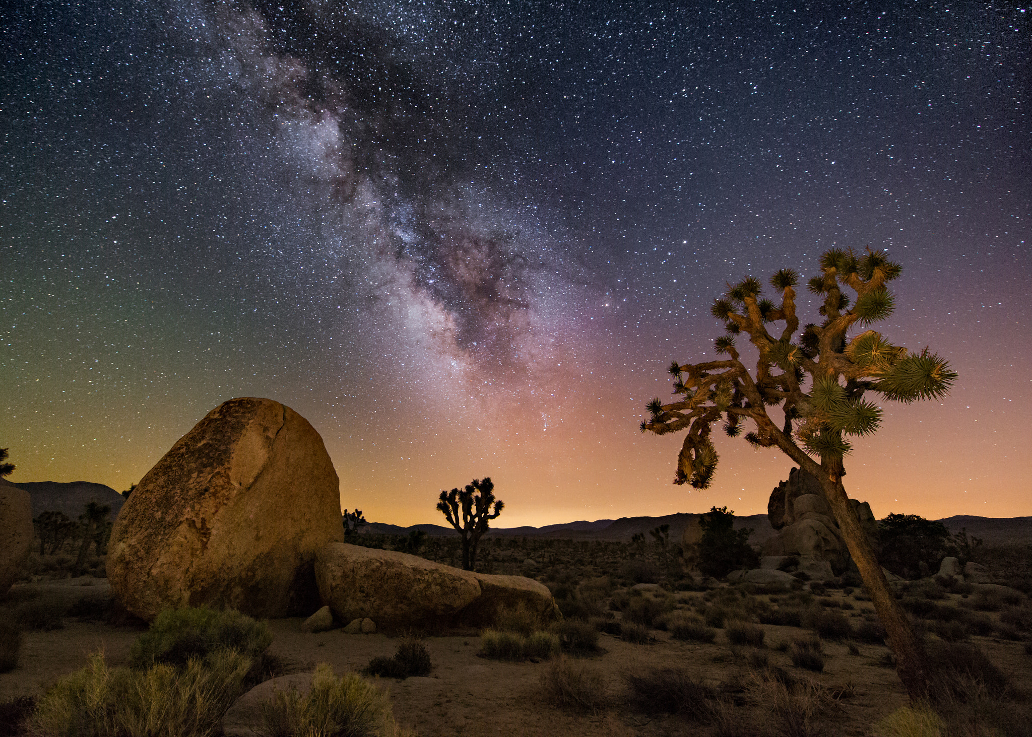 Canon EF 28-80mm f/3.5-5.6 sample photo. Joshua tree at night photography