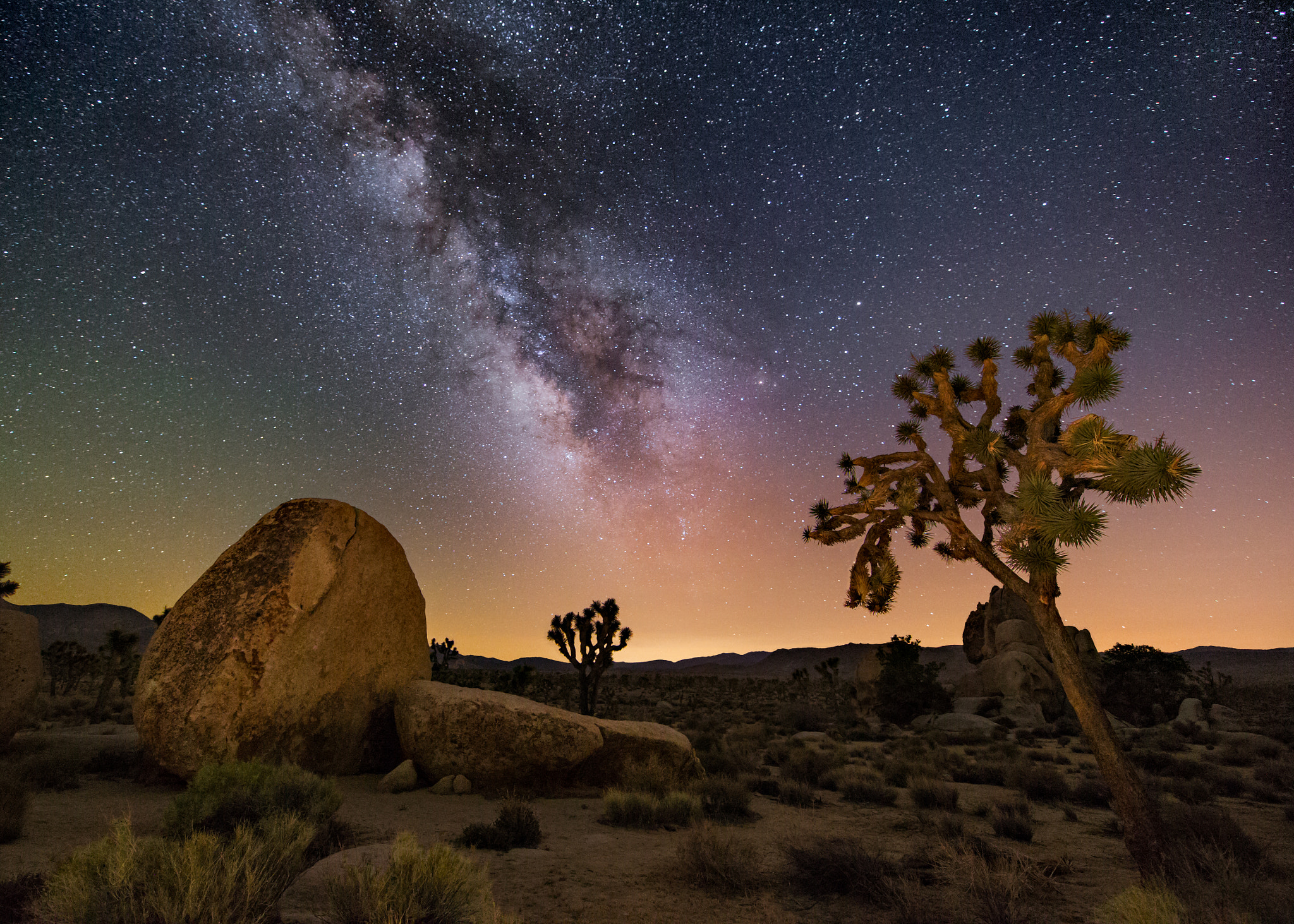 Canon EOS-1D X + Canon EF 28-80mm f/3.5-5.6 sample photo. Joshua tree at night photography