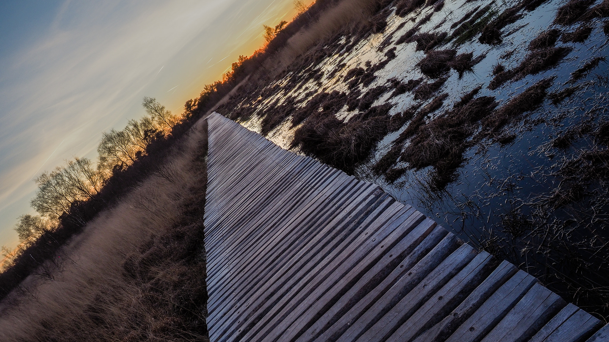 Olympus OM-D E-M1 Mark II + Olympus M.Zuiko Digital ED 12-40mm F2.8 Pro sample photo. National parc de grootte peel photography