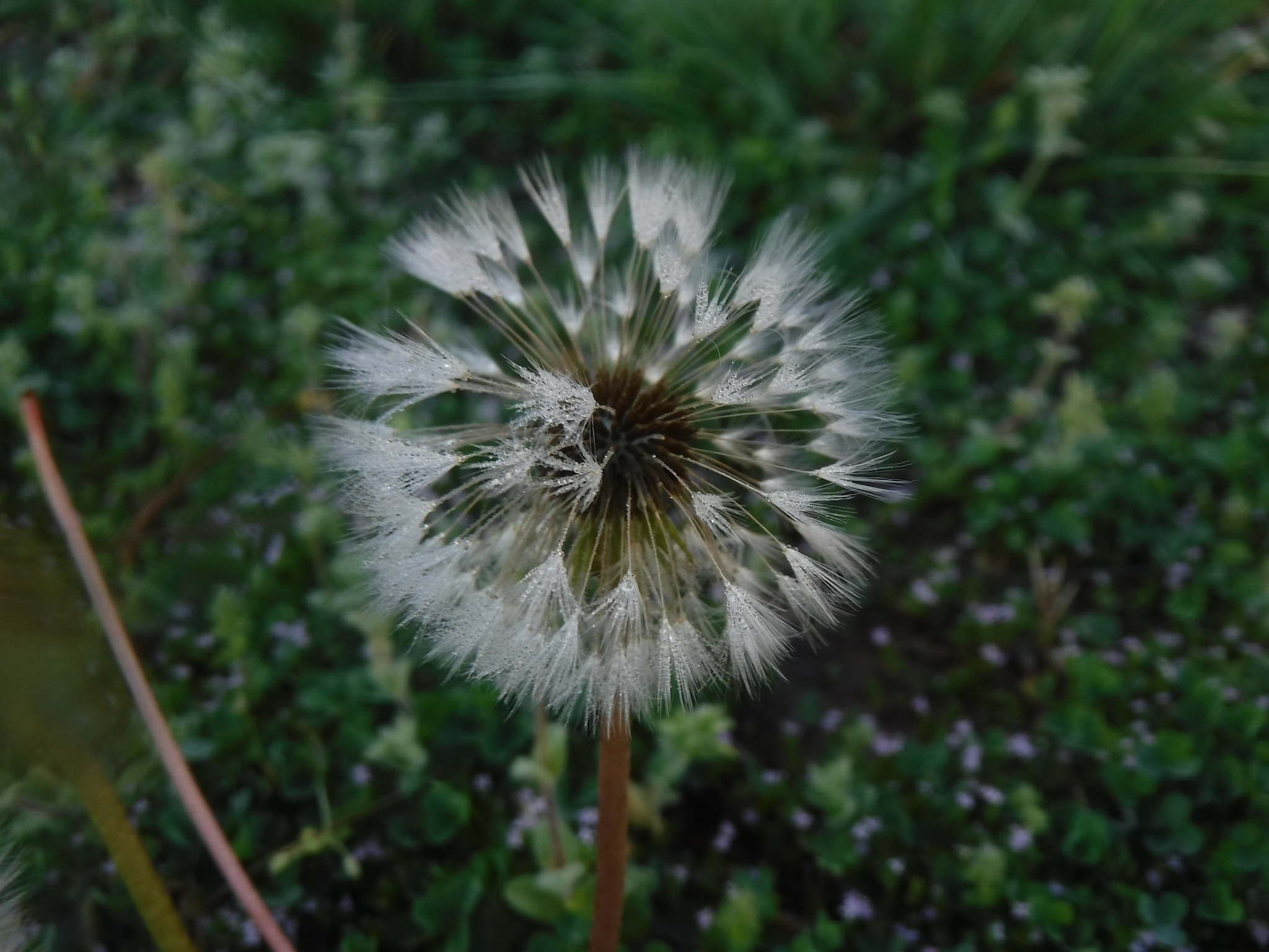 Fujifilm FinePix XP90 XP91 XP95 sample photo. Dscf photography