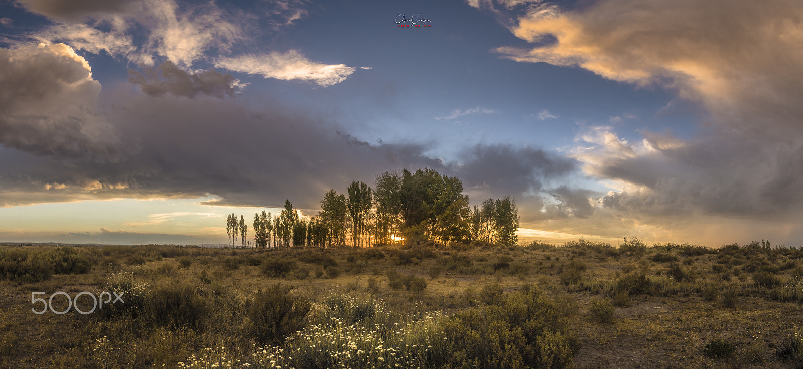 Nikon D810 sample photo. Atardecer en el puesto photography