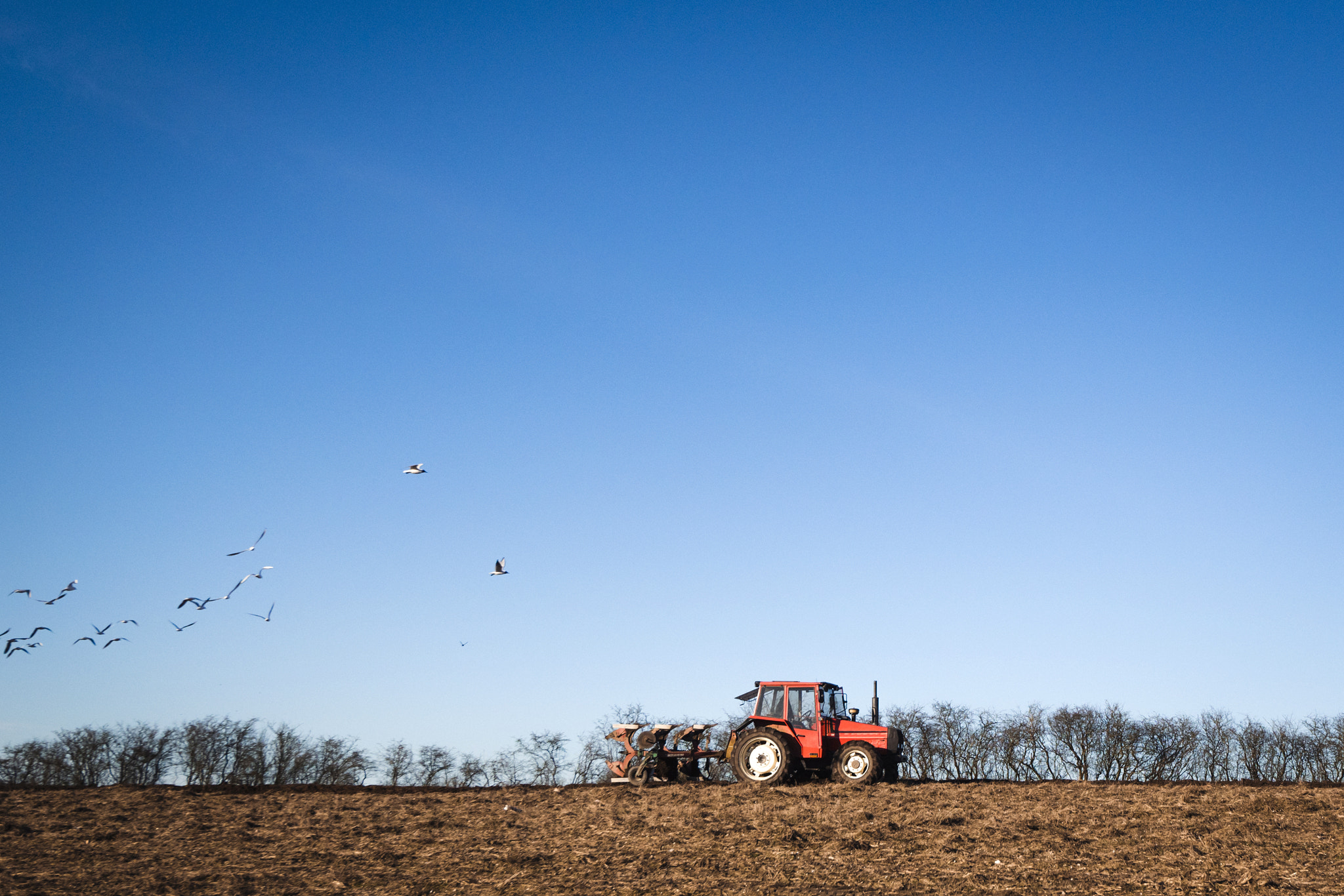 Sony a99 II + Sony Vario-Sonnar T* 16-35mm F2.8 ZA SSM sample photo. Tractor driving on a field with a plow photography