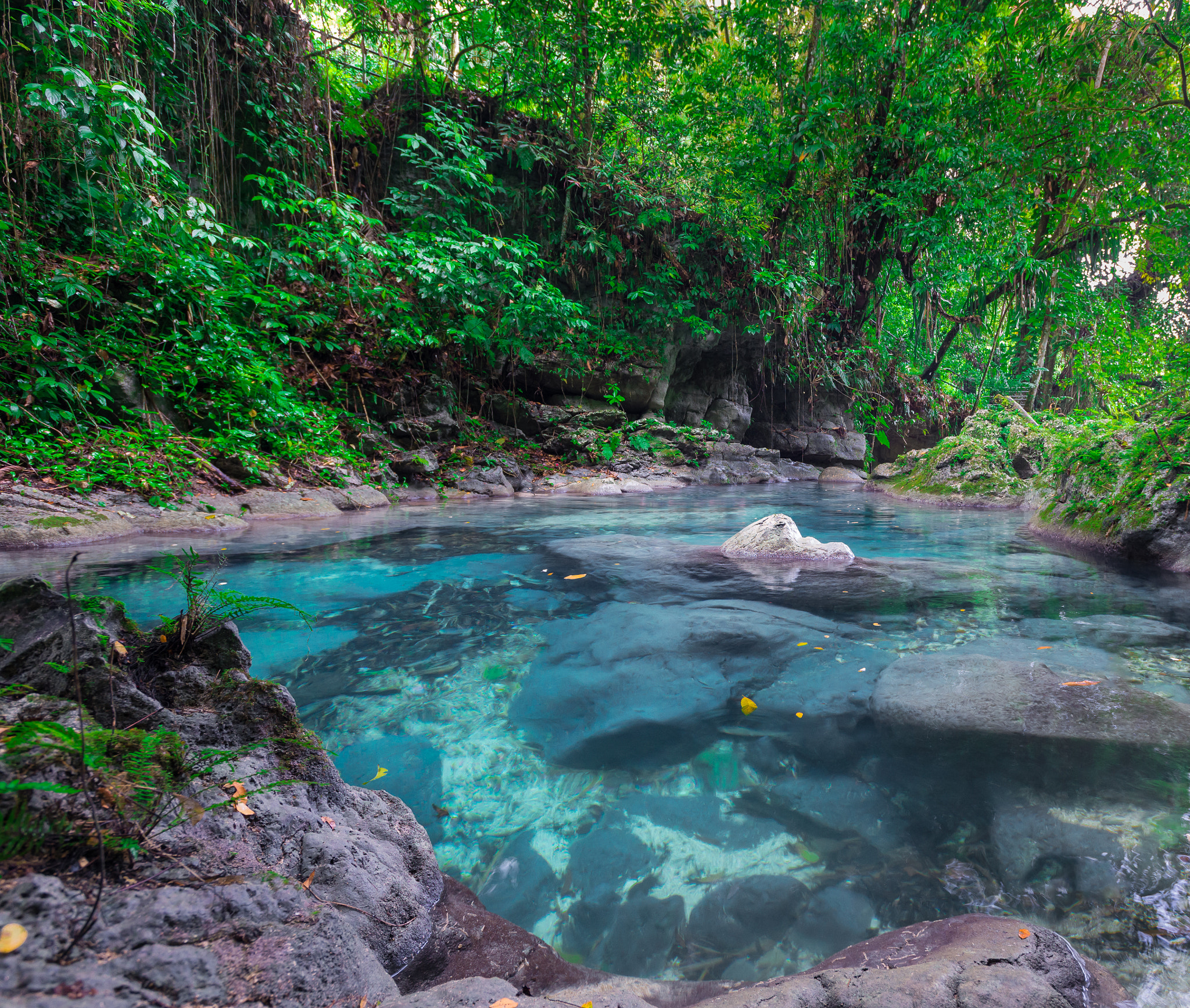 Nikon D610 + Nikon AF-S Nikkor 17-35mm F2.8D ED-IF sample photo. Reach falls jamaica. the blue bathtub. photography