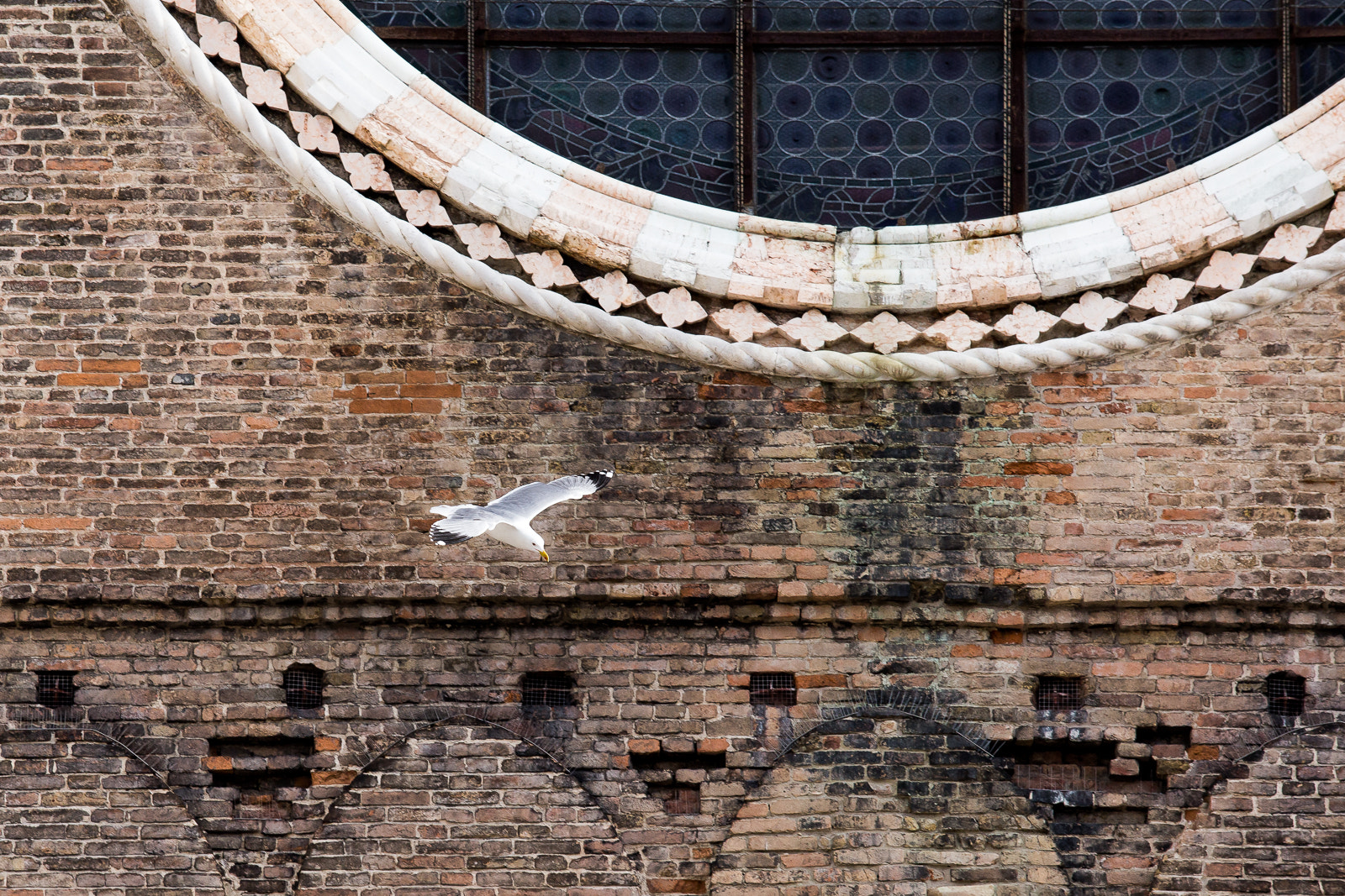 Canon EOS 6D sample photo. Flying over venice photography