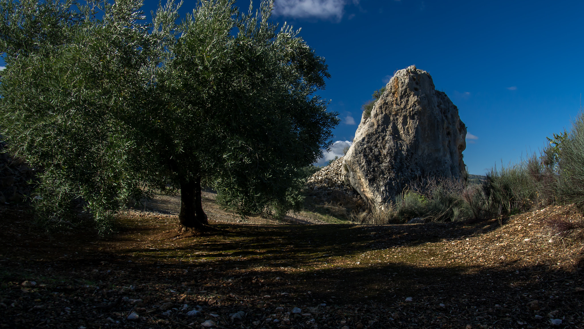 Pentax smc DA 17-70mm F4.0 AL (IF) SDM sample photo. Olive and rock photography