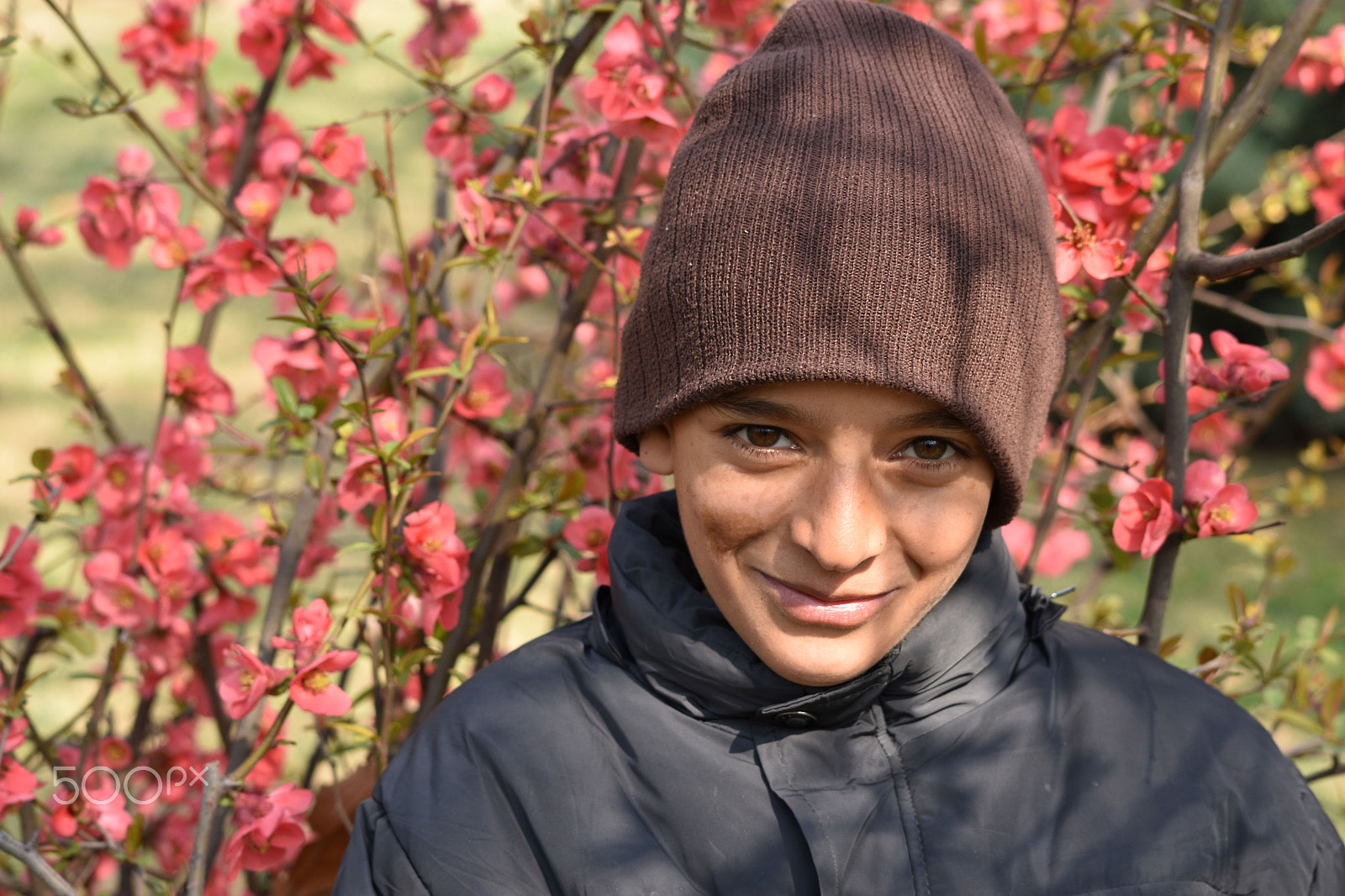 Nikon D3400 sample photo. Peddler boy photography