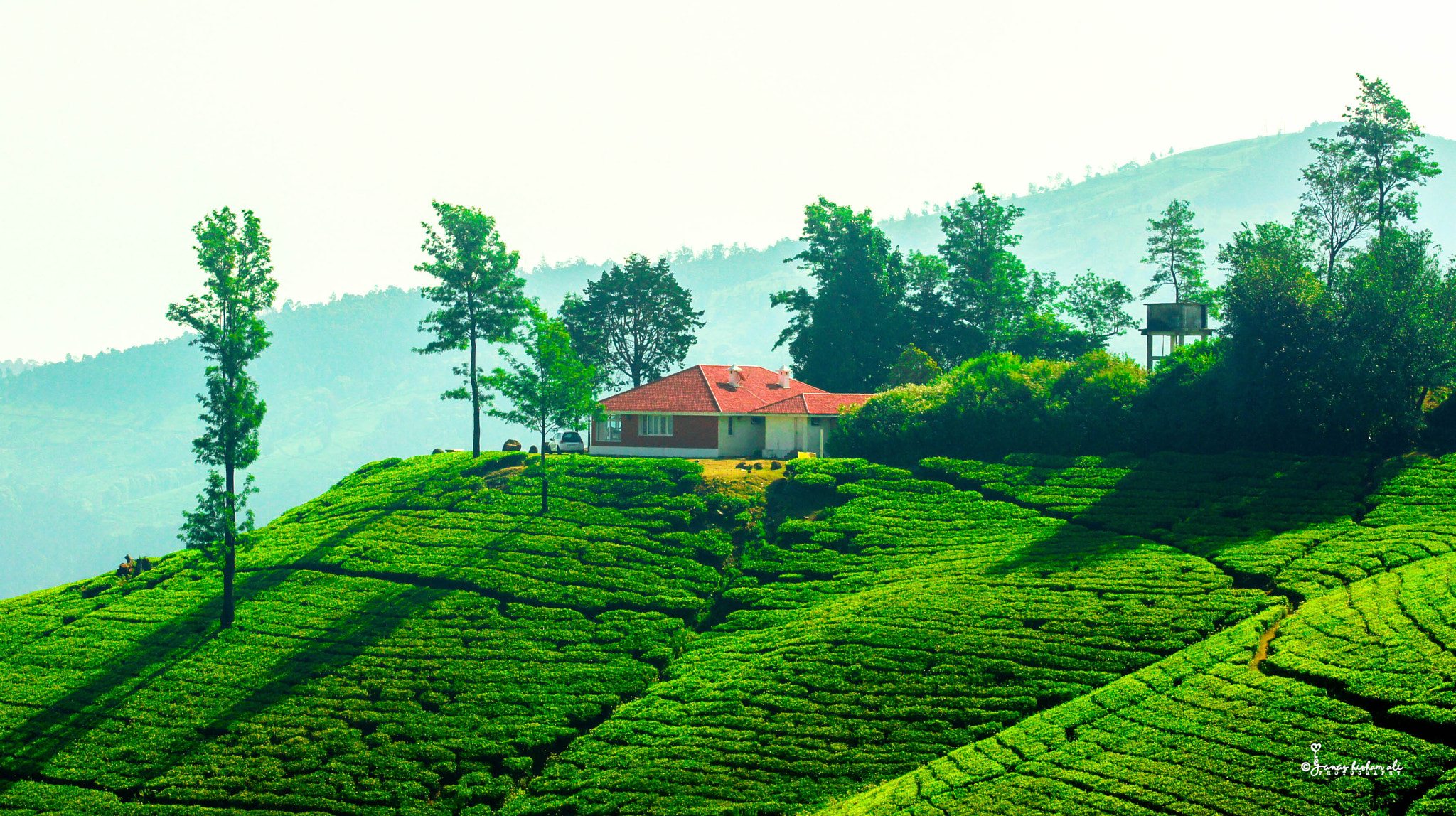 105mm F2.8 sample photo. Ooty photography