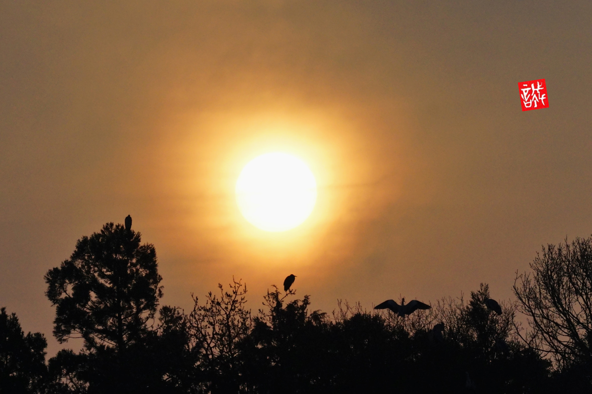 Sony FE 70-300mm F4.5-5.6 G OSS sample photo. Sunrise 0329 photography