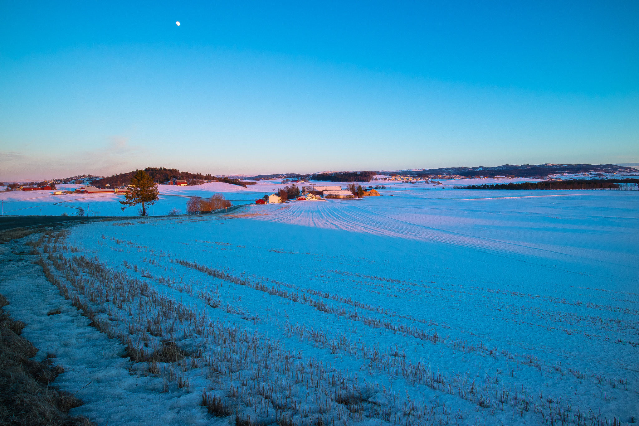 Canon EOS M3 + Canon EF-M 11-22mm F4-5.6 IS STM sample photo. Farmland in winter sun photography