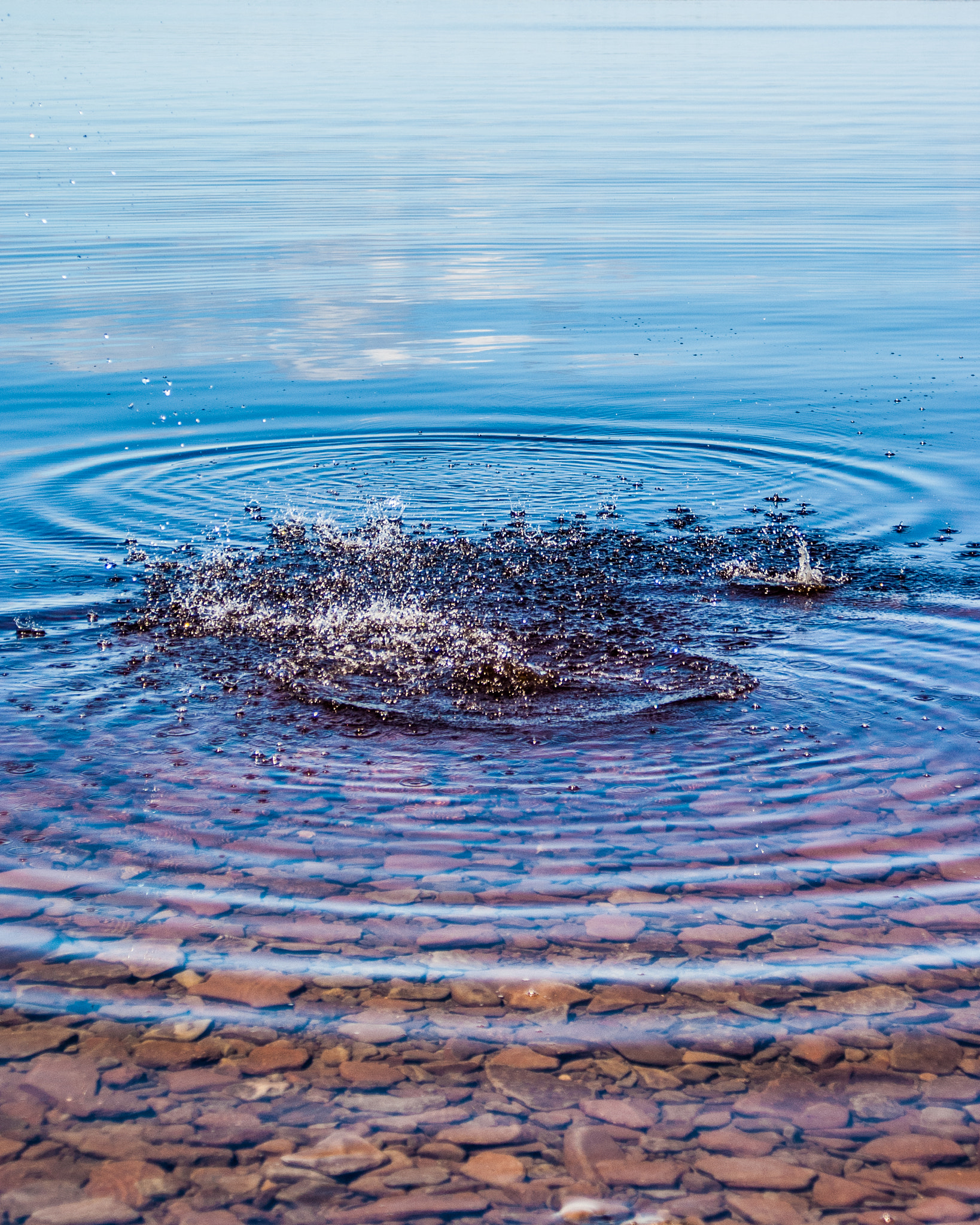 Sigma 17-70mm F2.8-4.5 (D) sample photo. Entwining circles photography