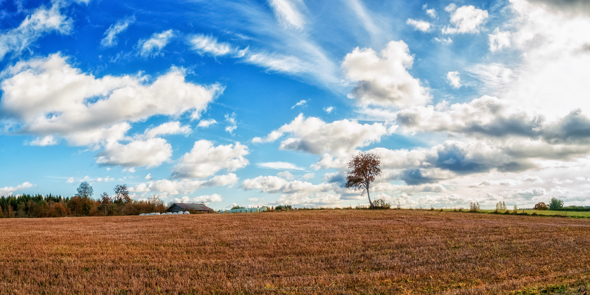 Nikon D90 sample photo. Clouds field photography