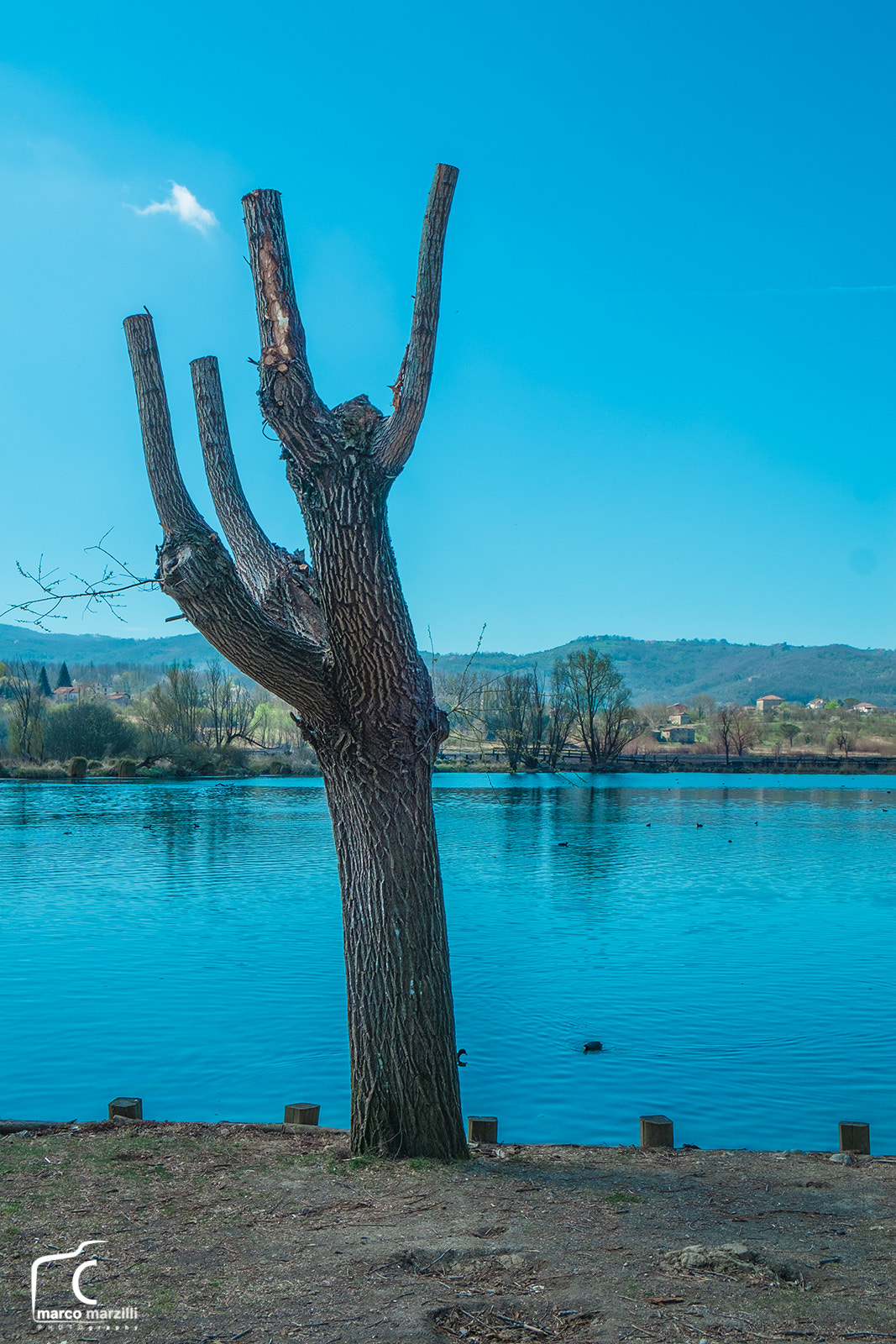 Fujifilm X-Pro1 + Fujifilm XF 18-55mm F2.8-4 R LM OIS sample photo. Dscf photography