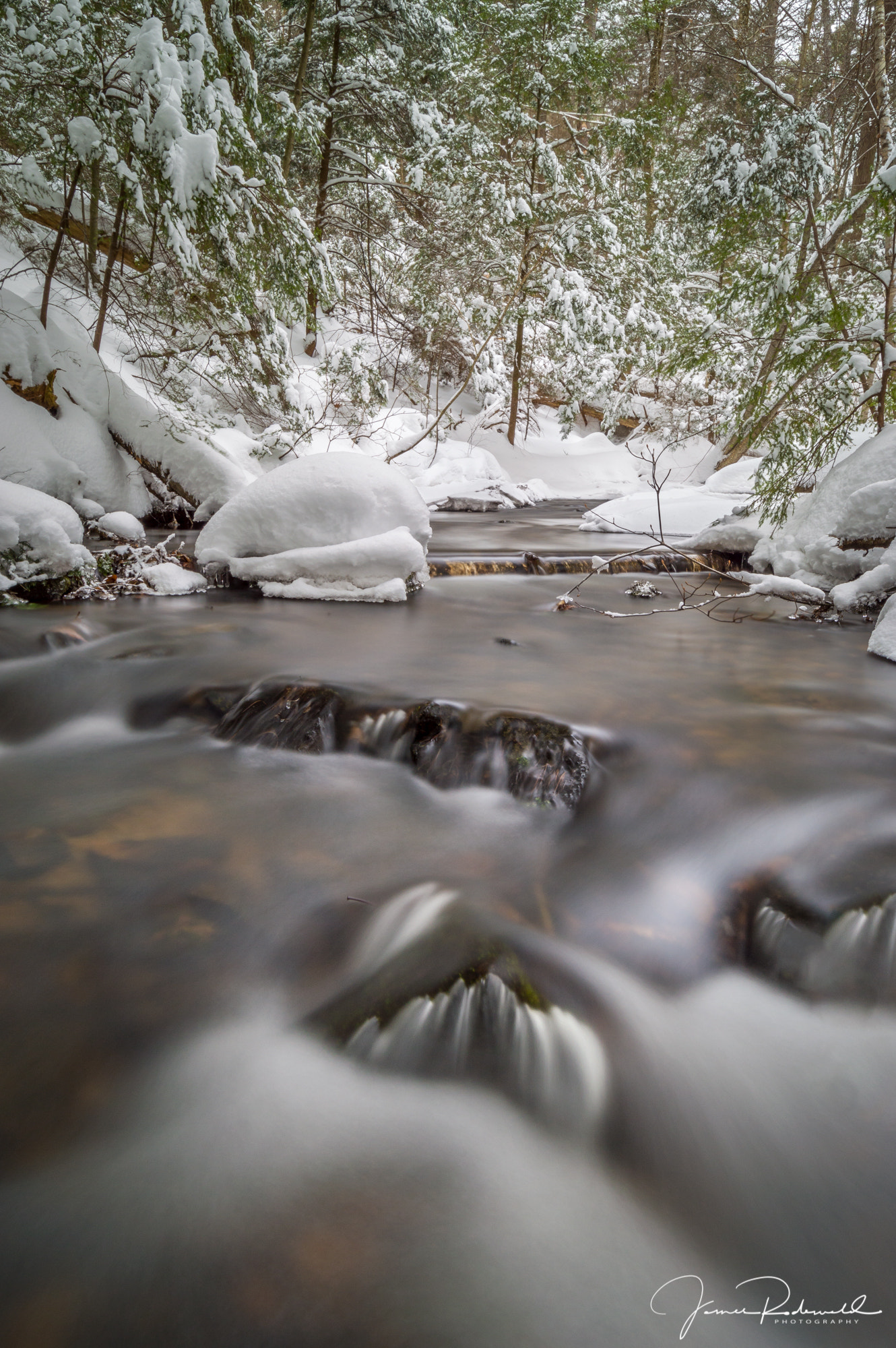 Nikon D3200 sample photo. Spring flowing through winter. photography