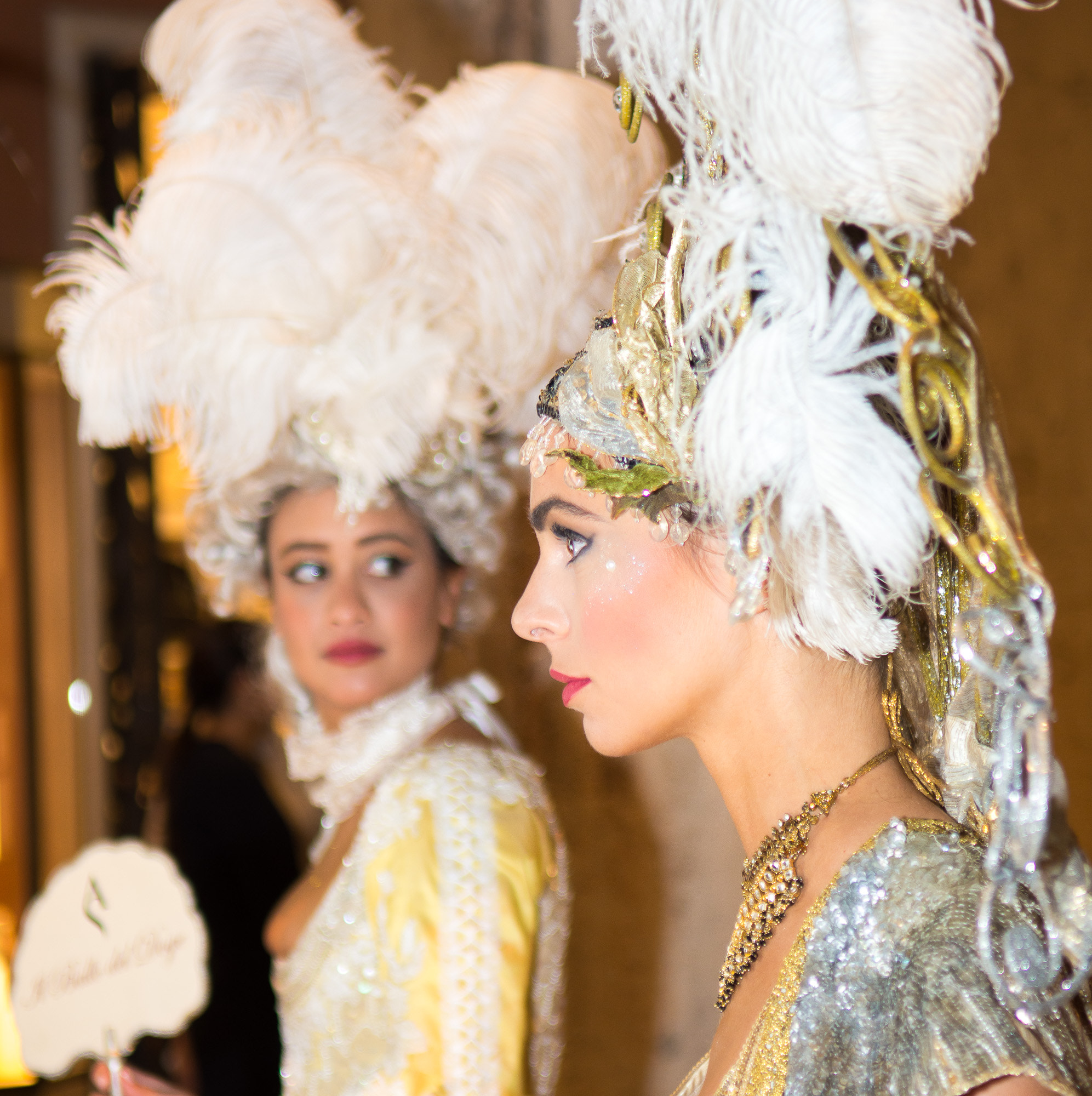 Nikon D7200 sample photo. Carnival of venice photography