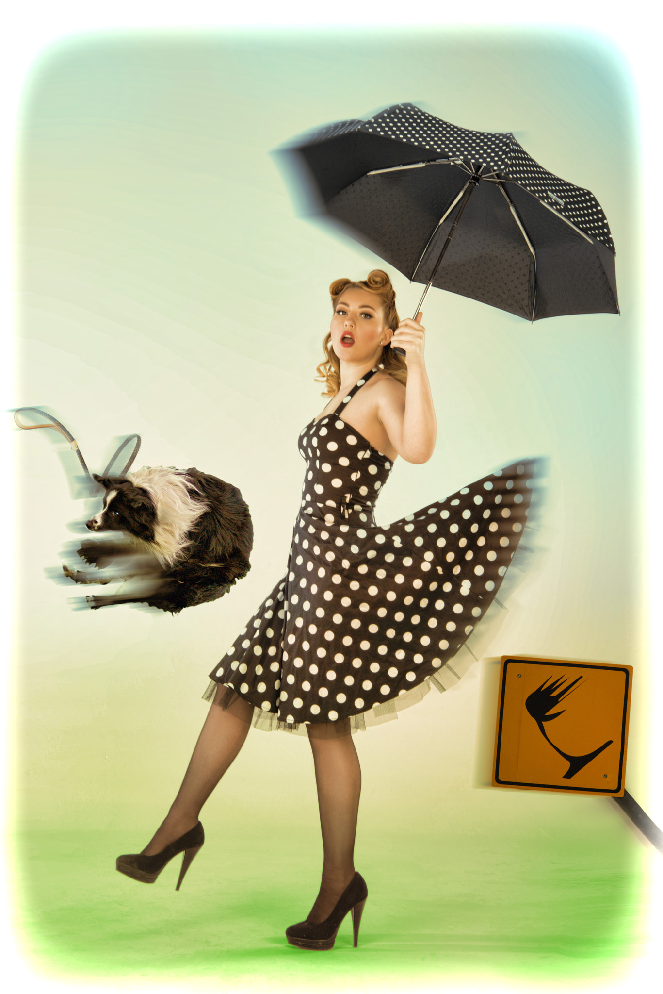 Nikon D800 sample photo. Pin-up photography