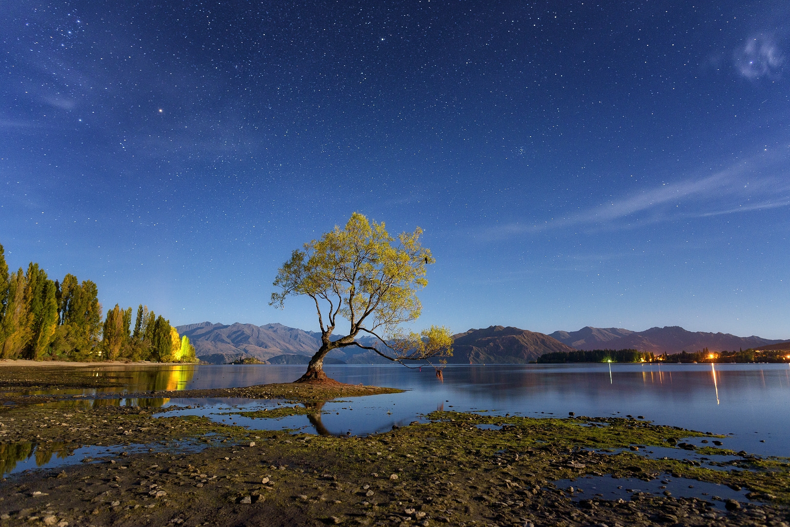 Nikon D750 + Nikon AF-S Nikkor 20mm F1.8G ED sample photo. Wanaka tree by moonlight photography
