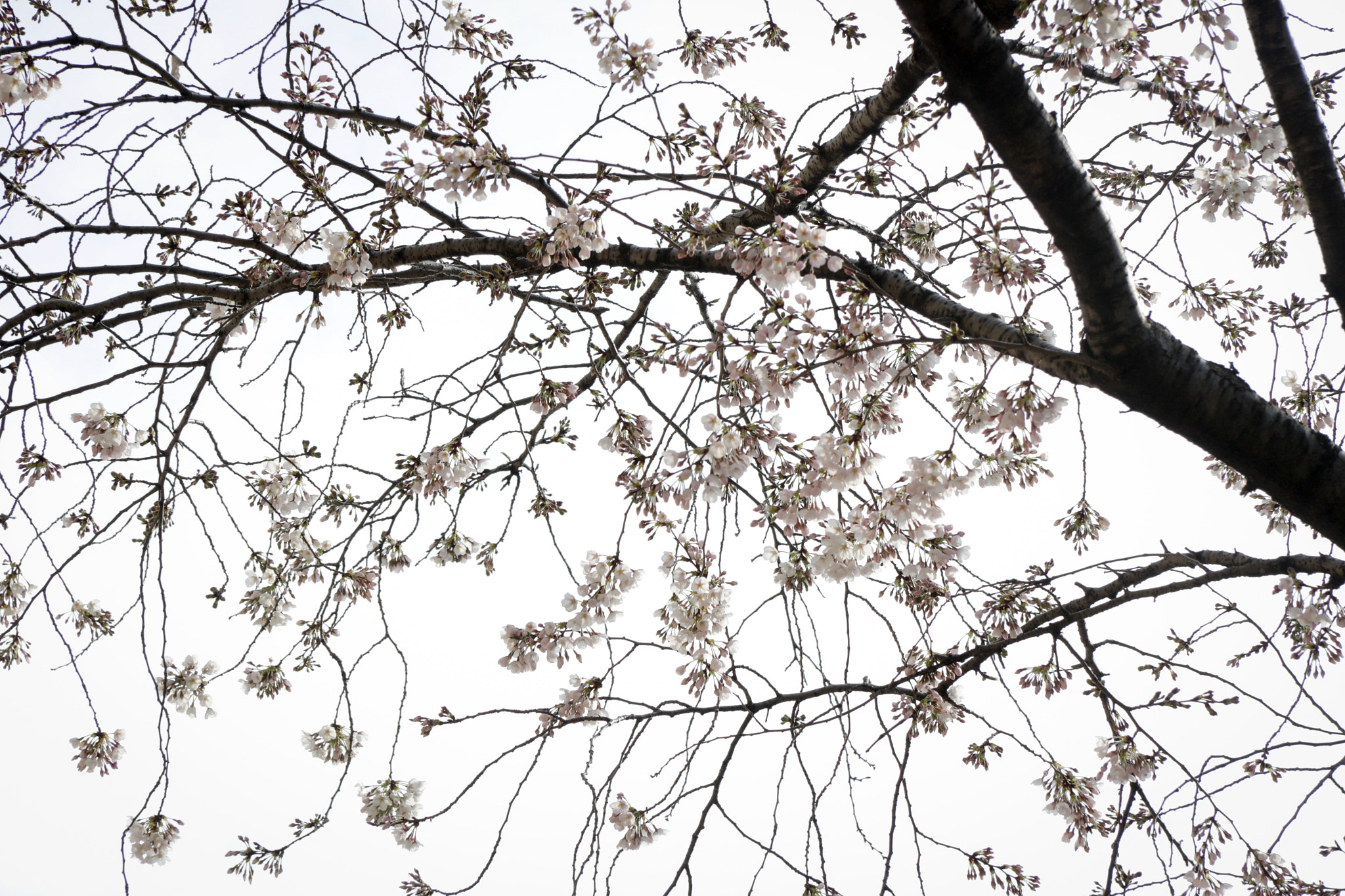 Canon EF-S 17-85mm F4-5.6 IS USM sample photo