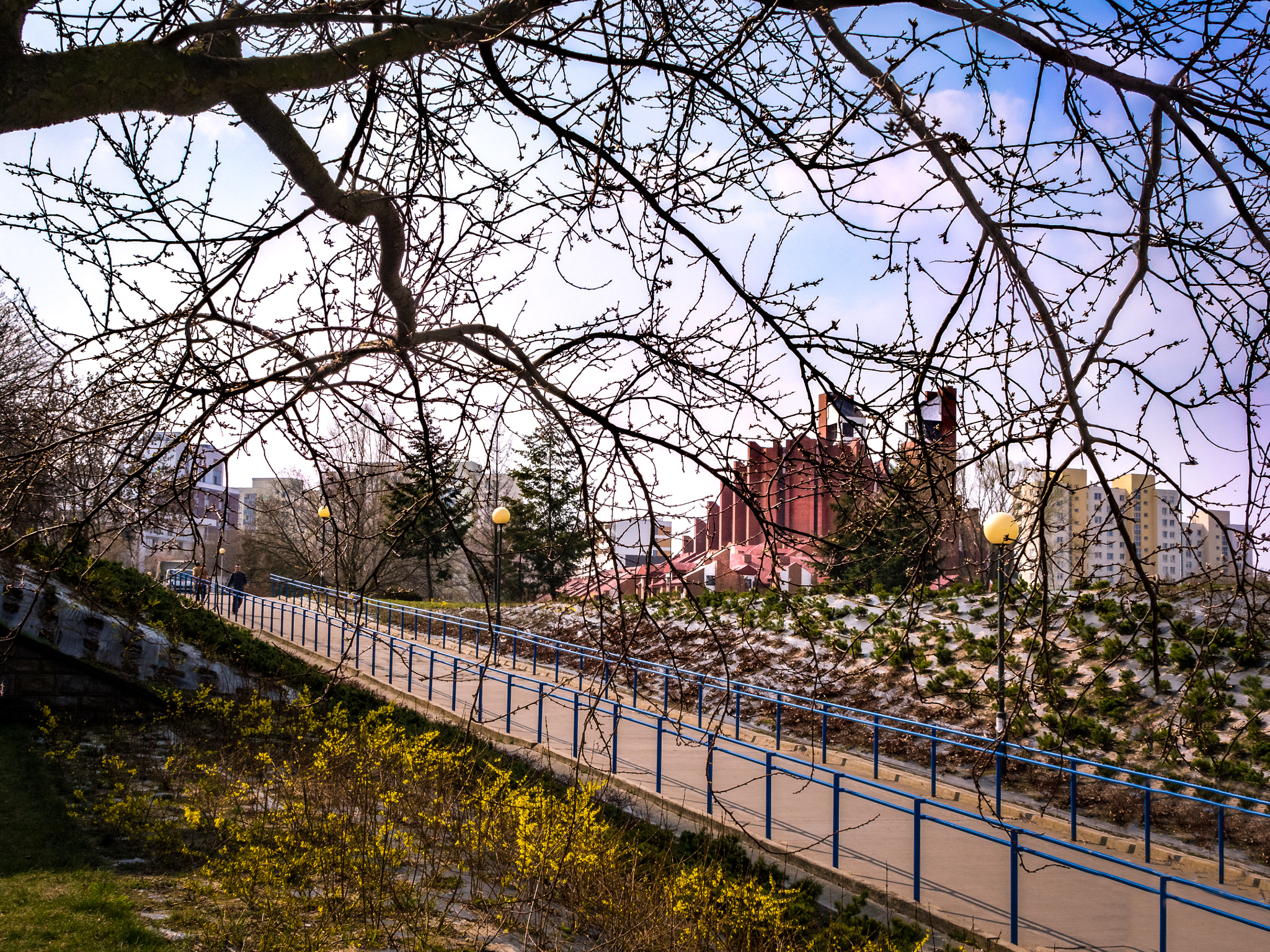 Olympus OM-D E-M10 II sample photo. Church behind trees photography