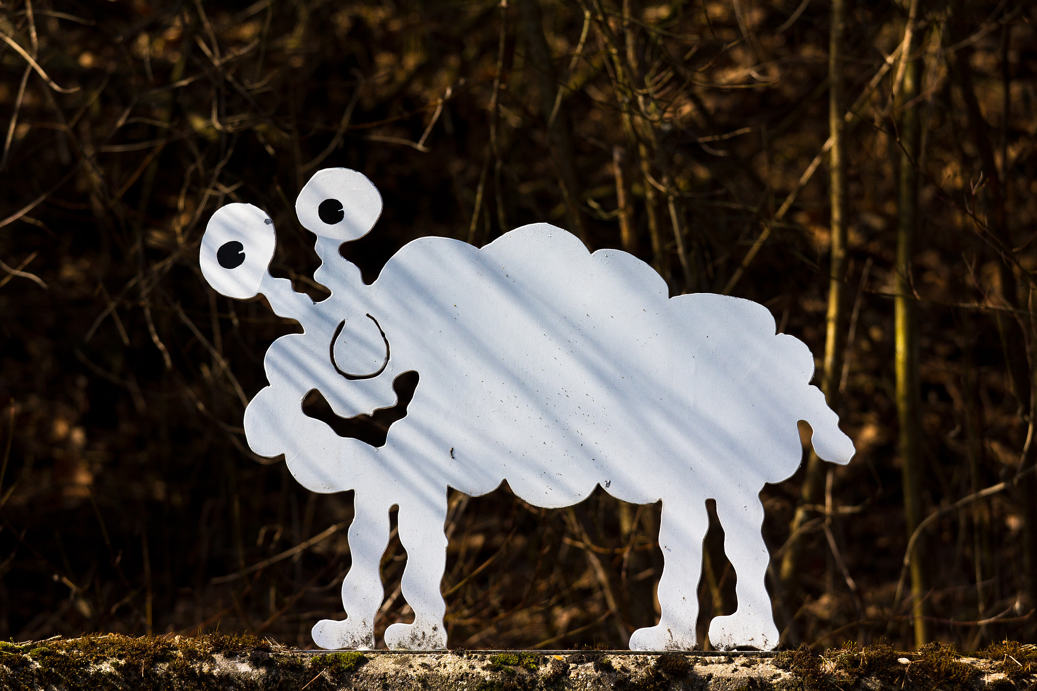 Canon EOS 60D + Canon EF 70-200mm F4L IS USM sample photo. Sheep :-) photography
