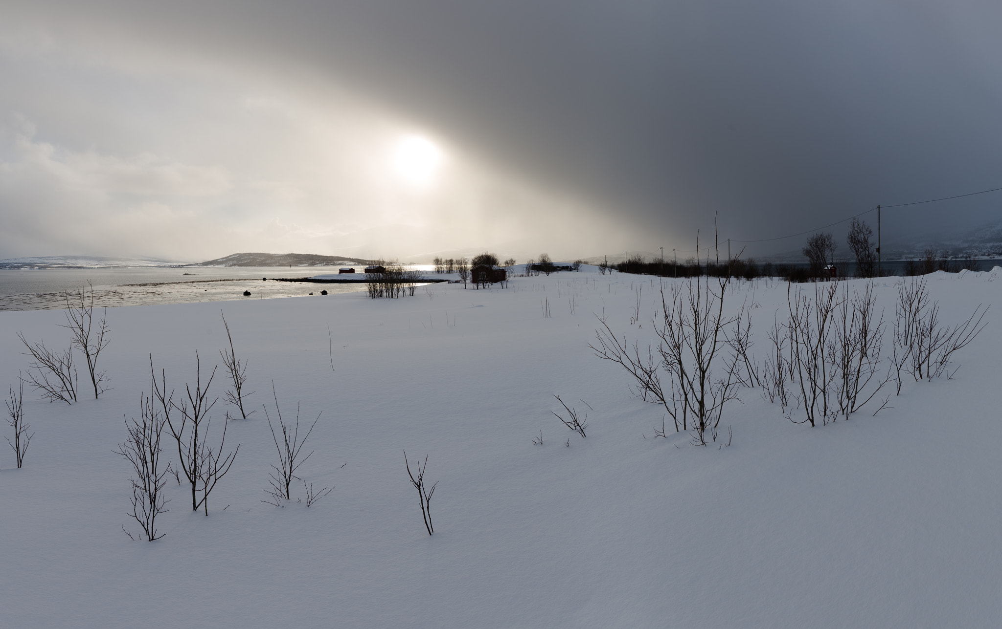 Canon EOS 6D + Canon EF 300mm f/2.8L sample photo. Arctic spring photography