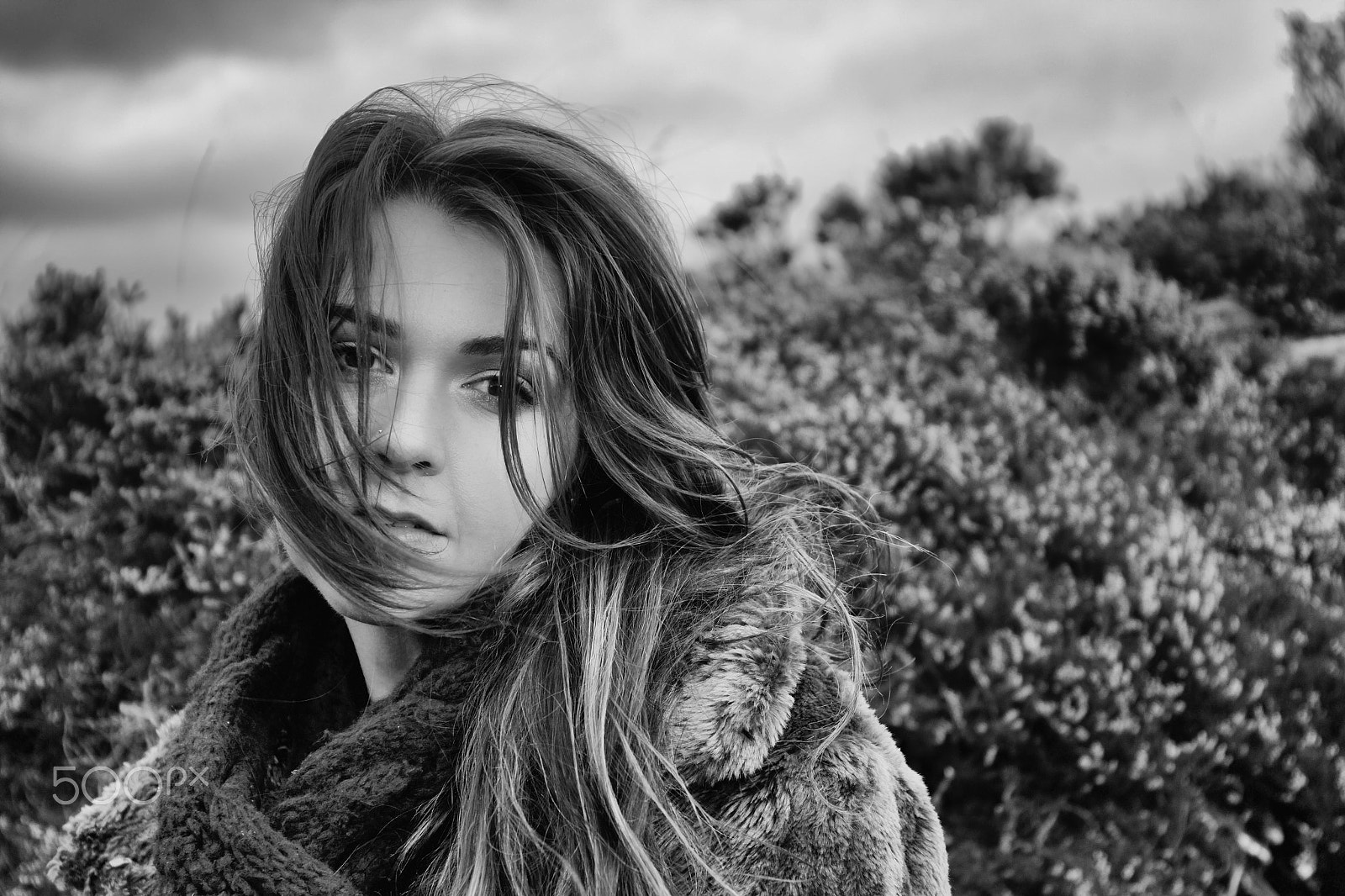 Canon EF 16-35mm F4L IS USM sample photo. Wind & wuthering photography