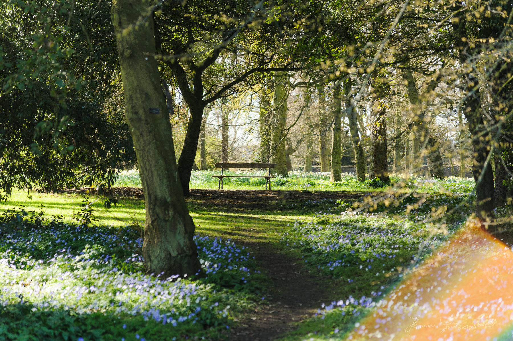 Nikon AF-S Nikkor 24-120mm F4G ED VR sample photo. A bench in the meadow photography