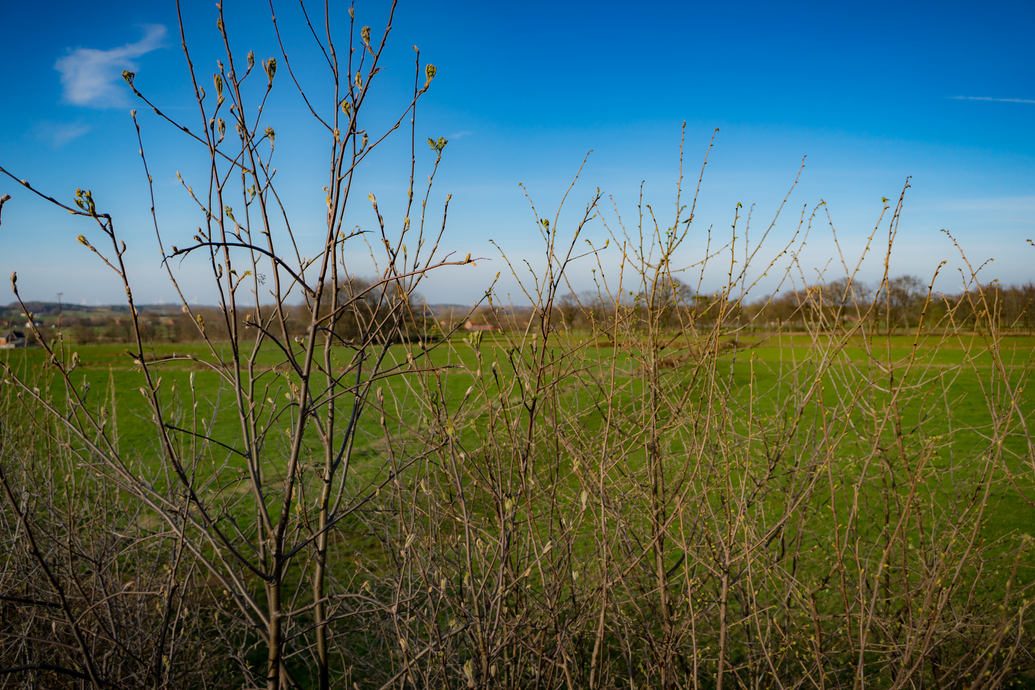 Sony a6300 + Sony E 20mm F2.8 sample photo. Spring. photography