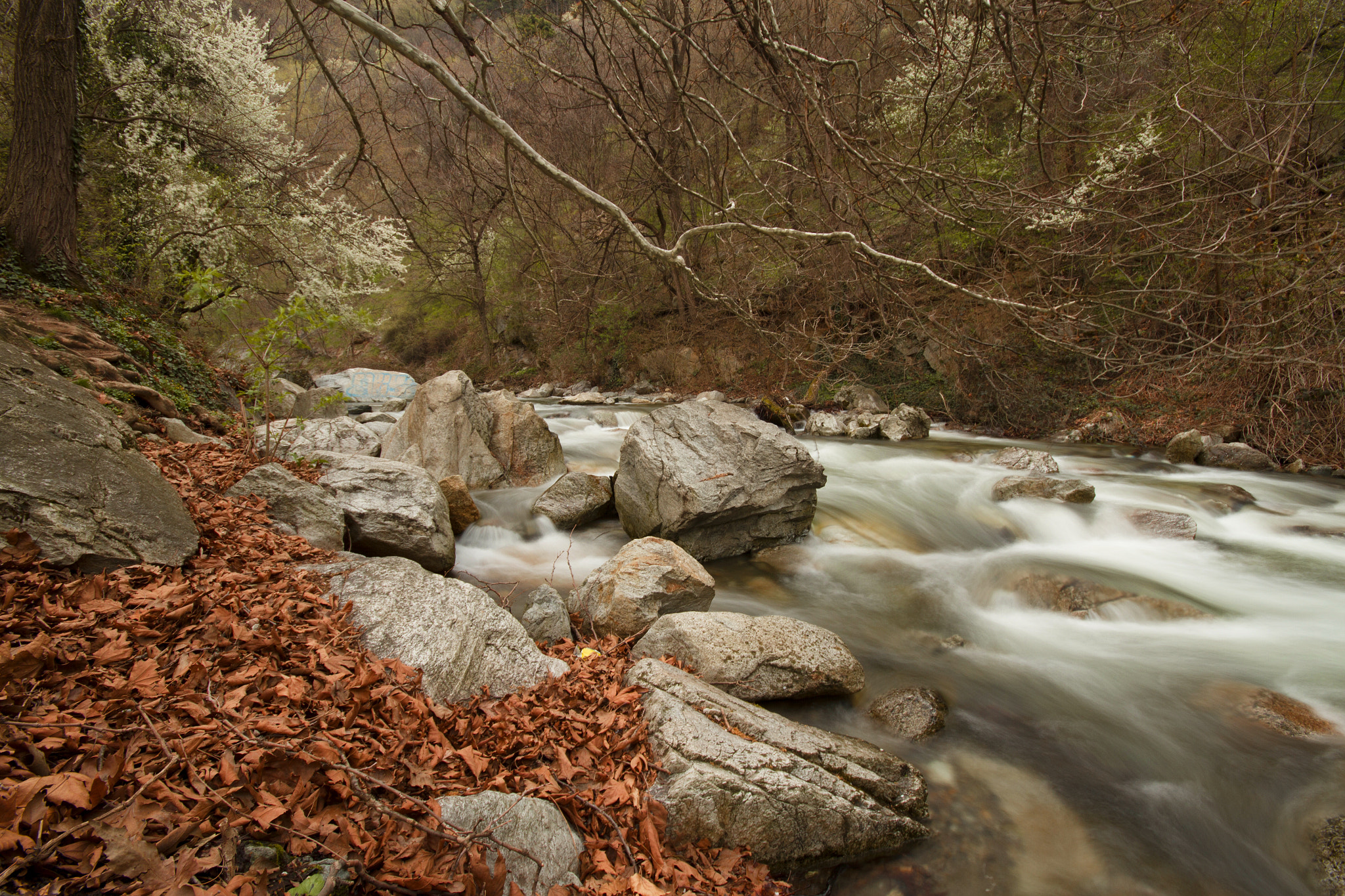 Canon EOS 7D + Sigma 10-20mm F4-5.6 EX DC HSM sample photo. Mg сссс photography