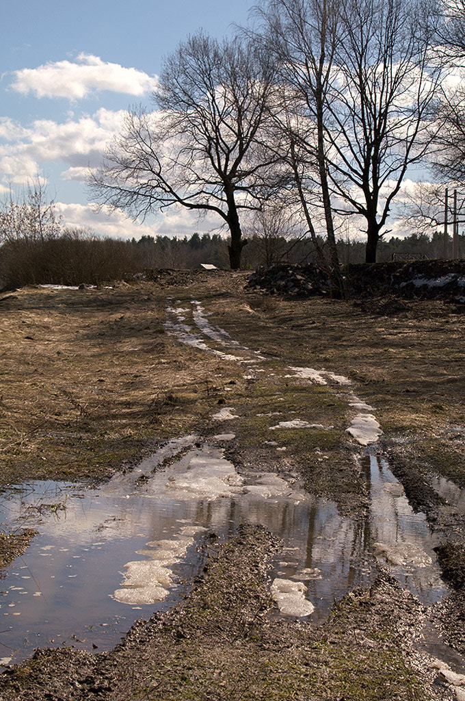 Pentax K-7 sample photo. Spring in sukhanovo. photography