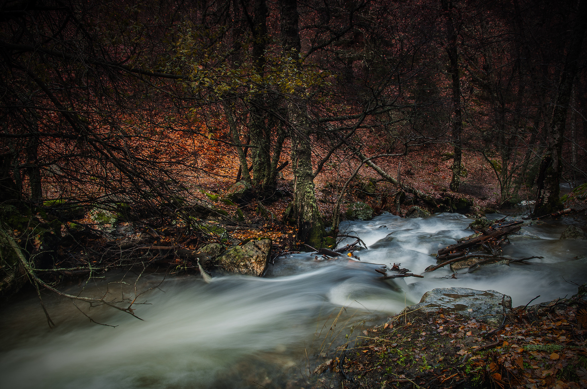 Nikon D300 sample photo. Rio77688956 photography