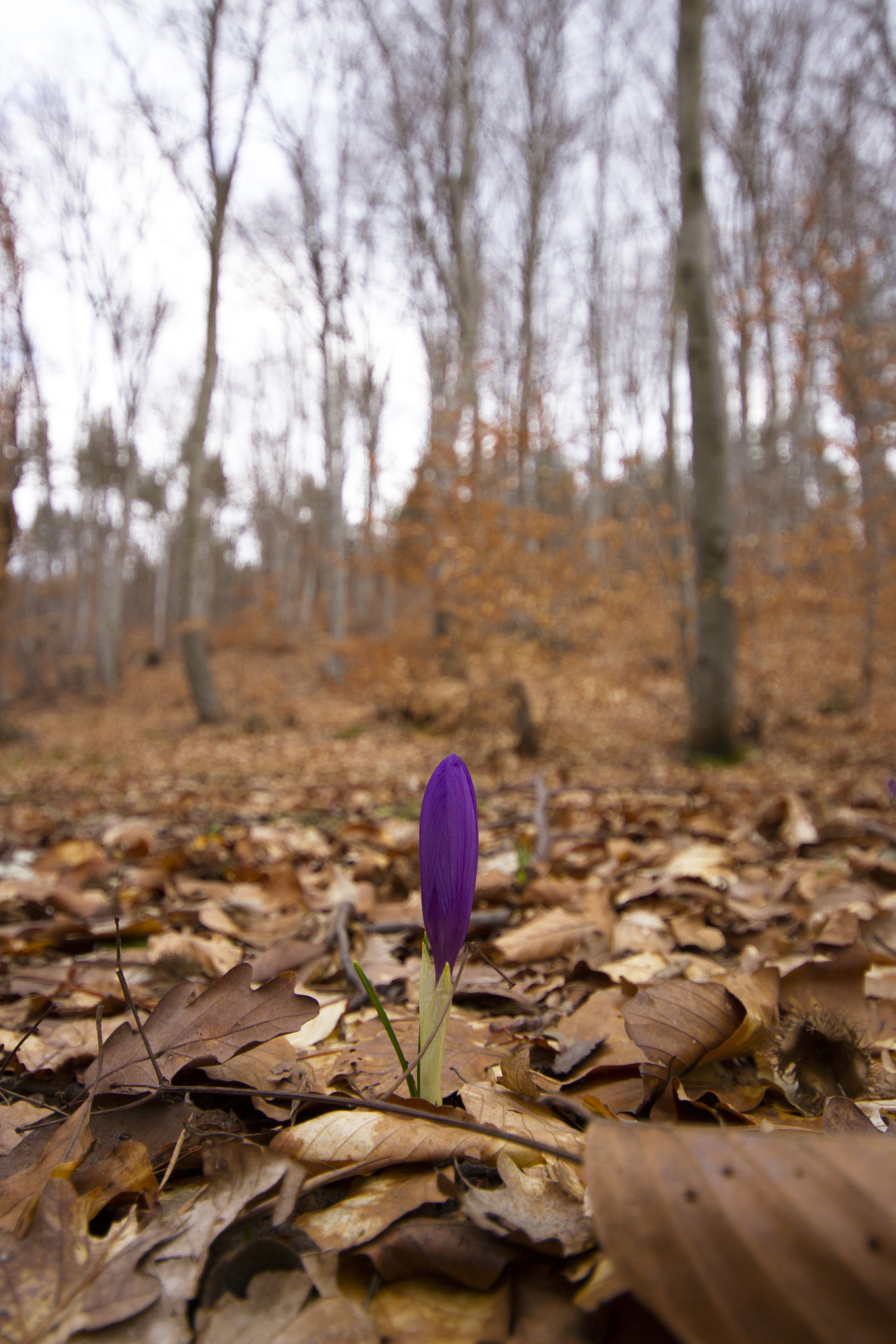 Canon EOS 7D + Sigma 10-20mm F4-5.6 EX DC HSM sample photo. Img photography