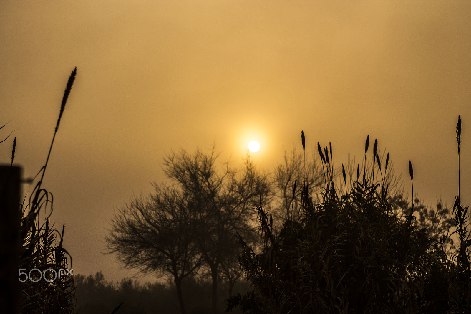 Canon EOS 1100D (EOS Rebel T3 / EOS Kiss X50) sample photo. Amaneciendo en el campo. photography