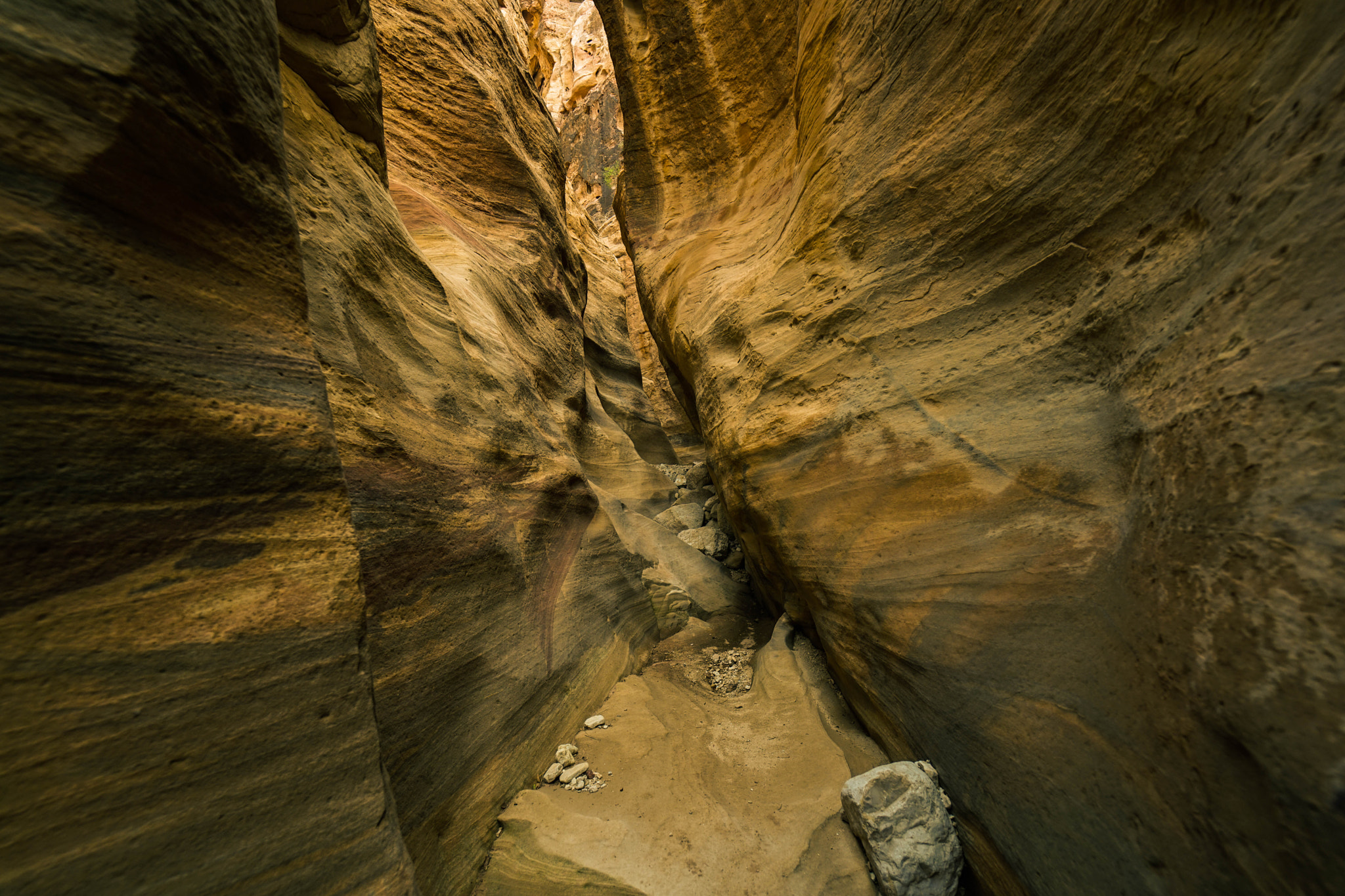E 14mm F2.8 sample photo. Jordanian canyon photography