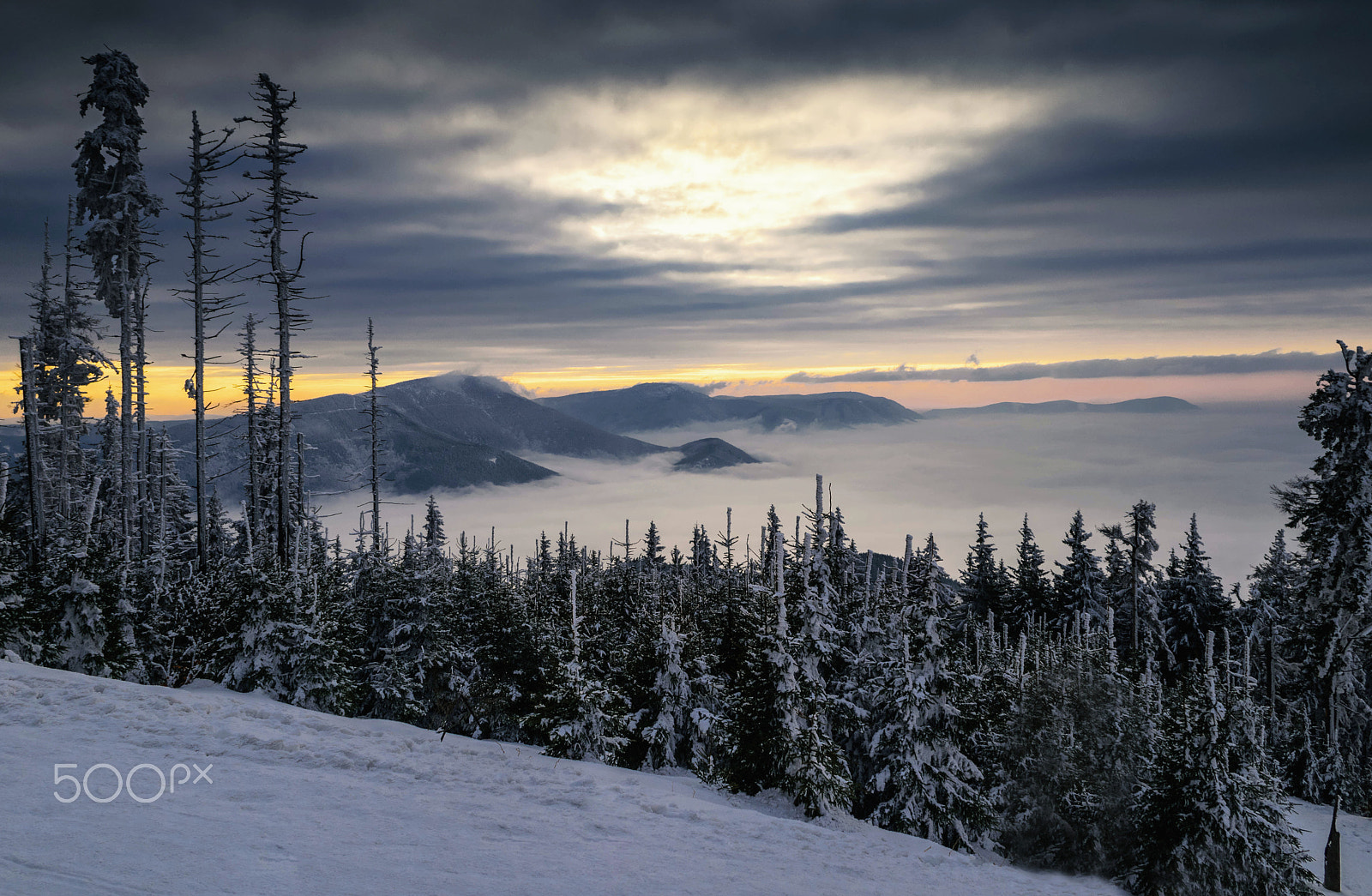 Nikon D5500 sample photo. Inversion photography