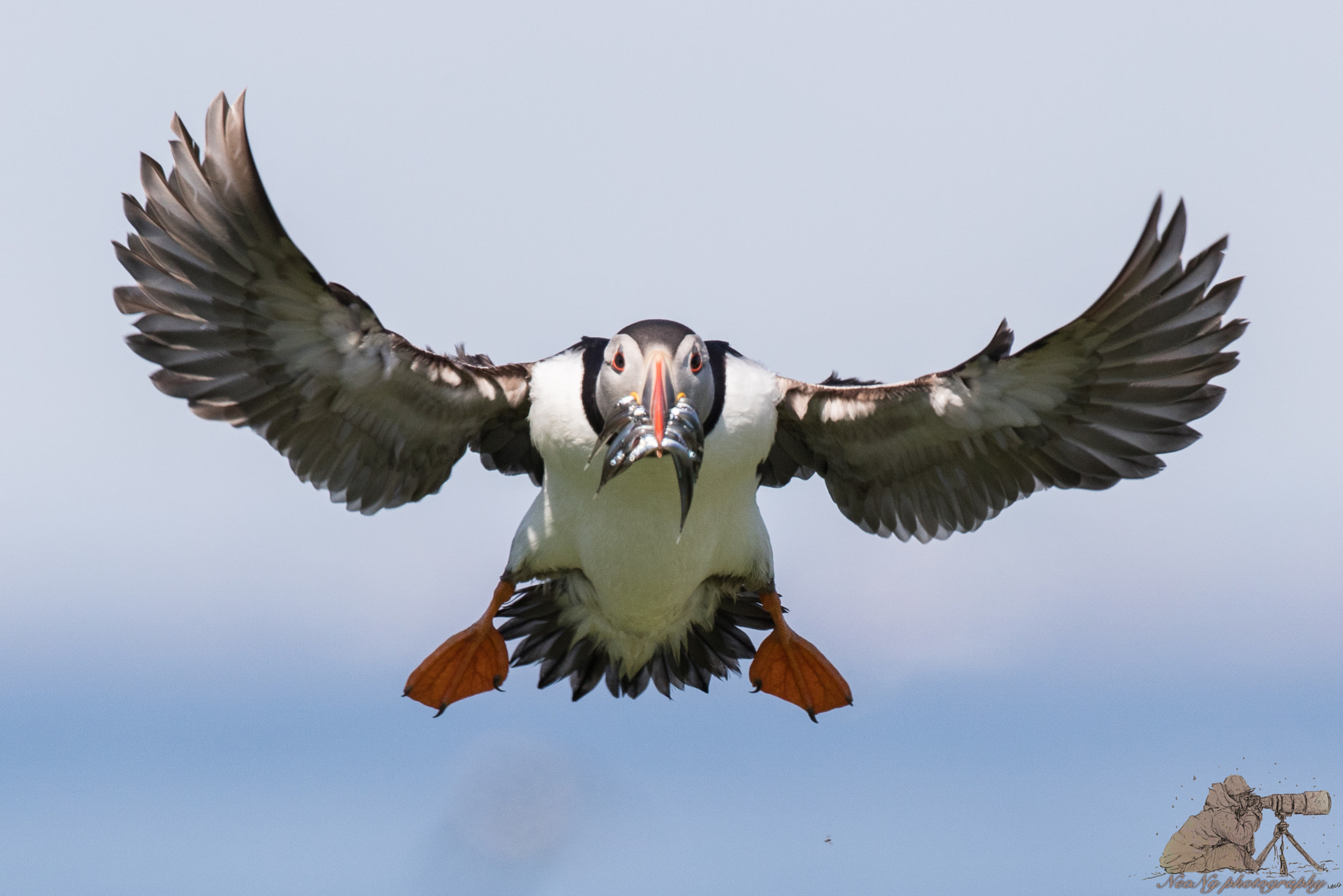 Canon EF 300mm F2.8L IS II USM sample photo. Neo_1736-2.jpg photography