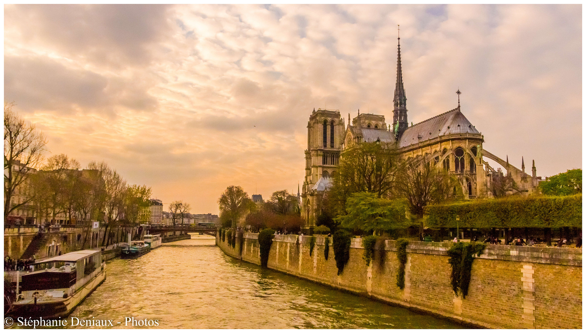 Sigma 17-70mm F2.8-4 DC Macro OS HSM sample photo. Notre-dame et l'île de la cité photography