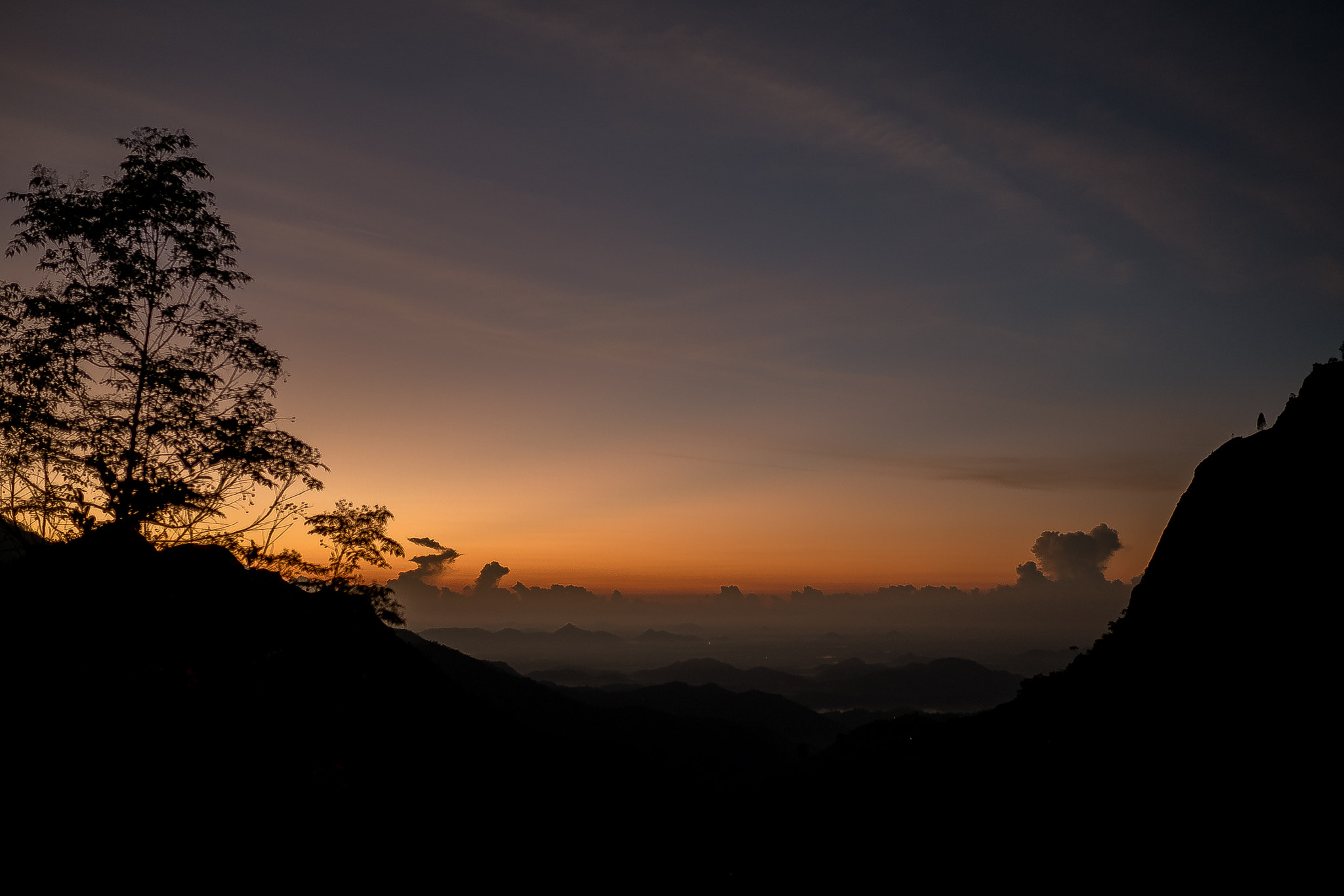 Panasonic Lumix DMC-GX85 (Lumix DMC-GX80 / Lumix DMC-GX7 Mark II) + LUMIX G 20/F1.7 II sample photo. Earth awakes photography