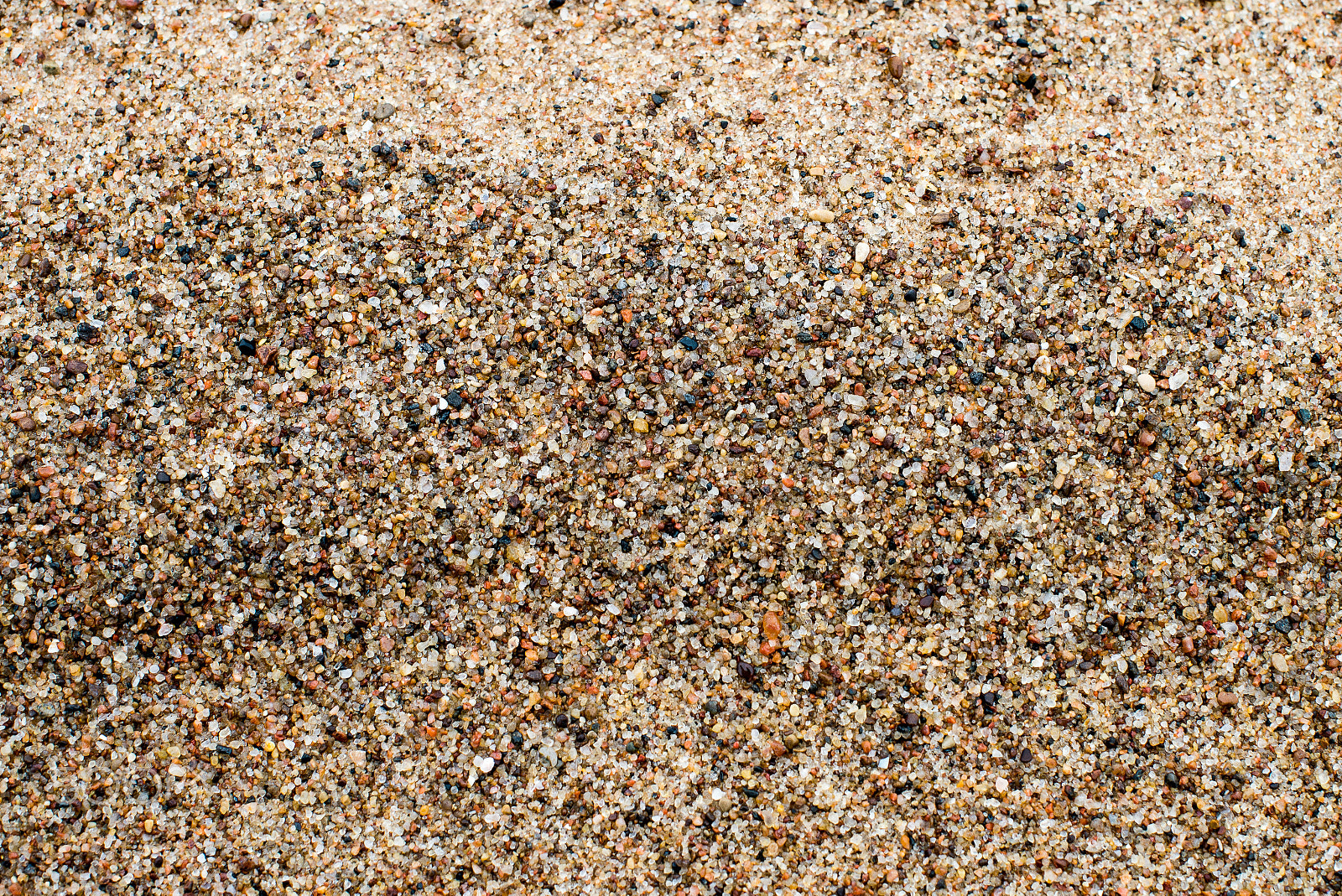 Nikon D600 + Nikon AF-S Nikkor 50mm F1.4G sample photo. Backgrouns photography
