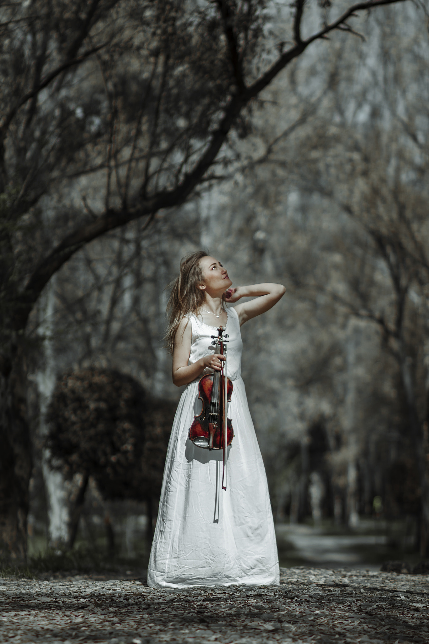 Canon EF 85mm F1.8 USM sample photo. Sound of silence..! photography
