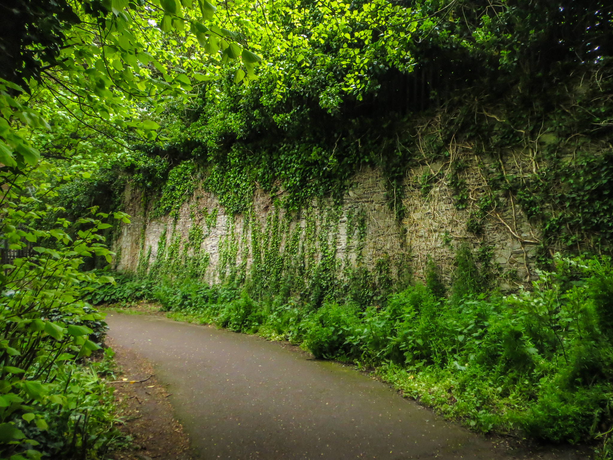 Canon PowerShot ELPH 520 HS (IXUS 500 HS / IXY 3) sample photo. City and nature fusion in dublin photography