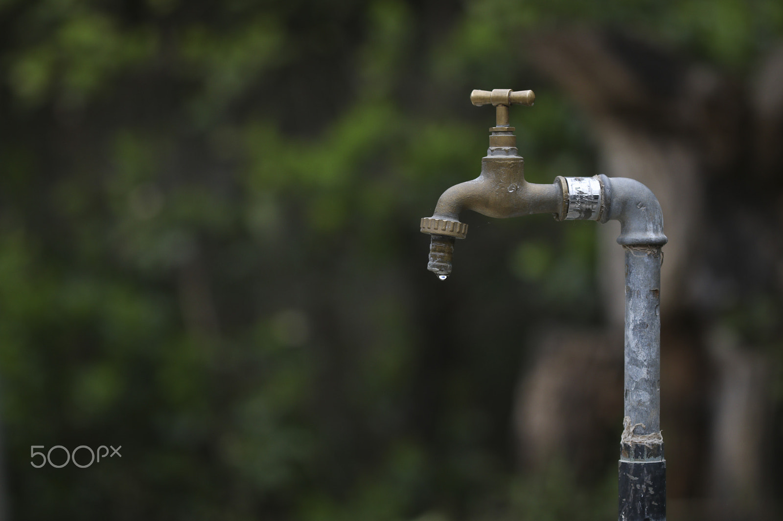 Canon EF 100mm F2.8 Macro USM sample photo. Water drop photography