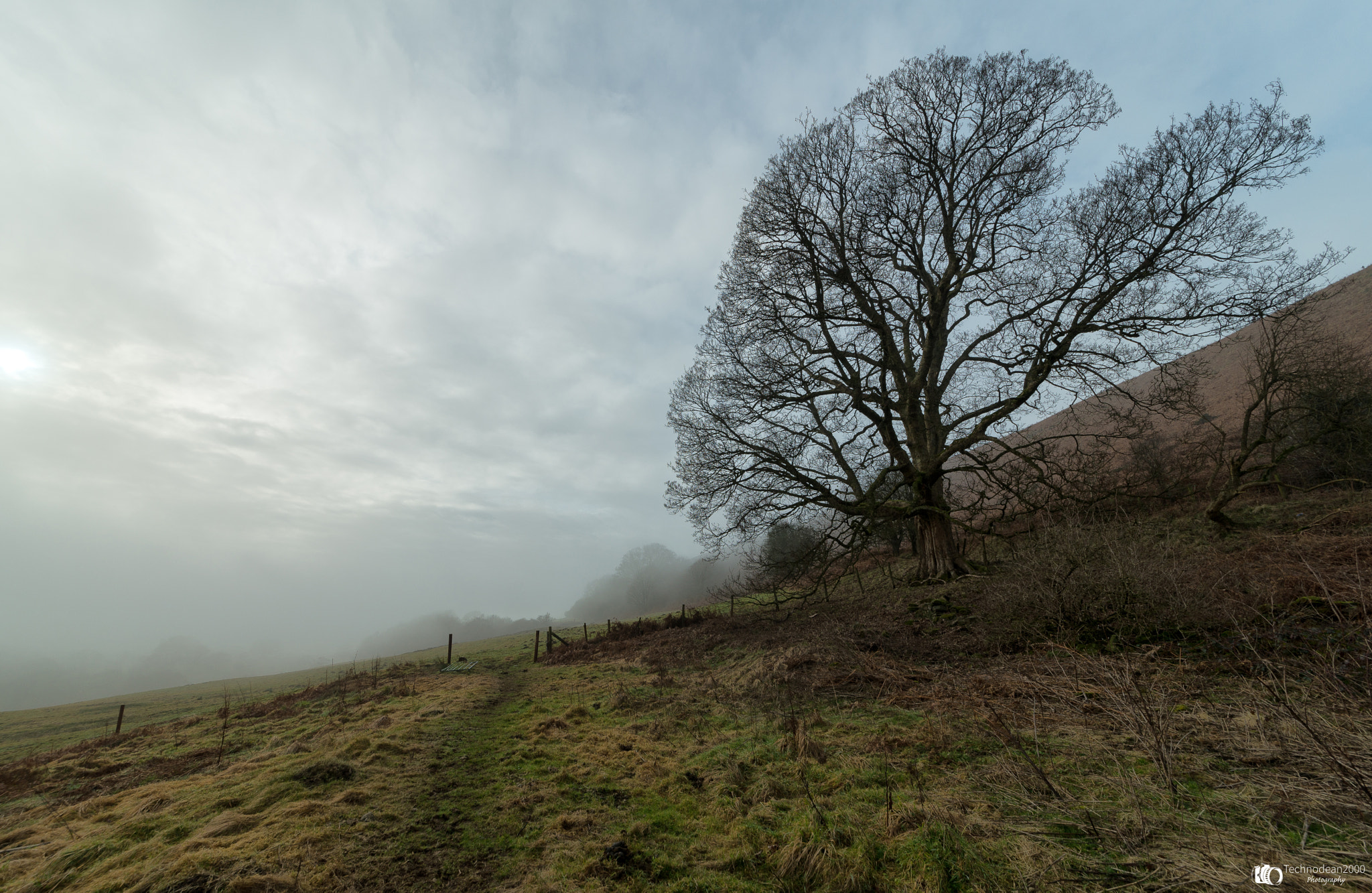 Sigma 12-24mm F4.5-5.6 II DG HSM sample photo. Into the fog photography