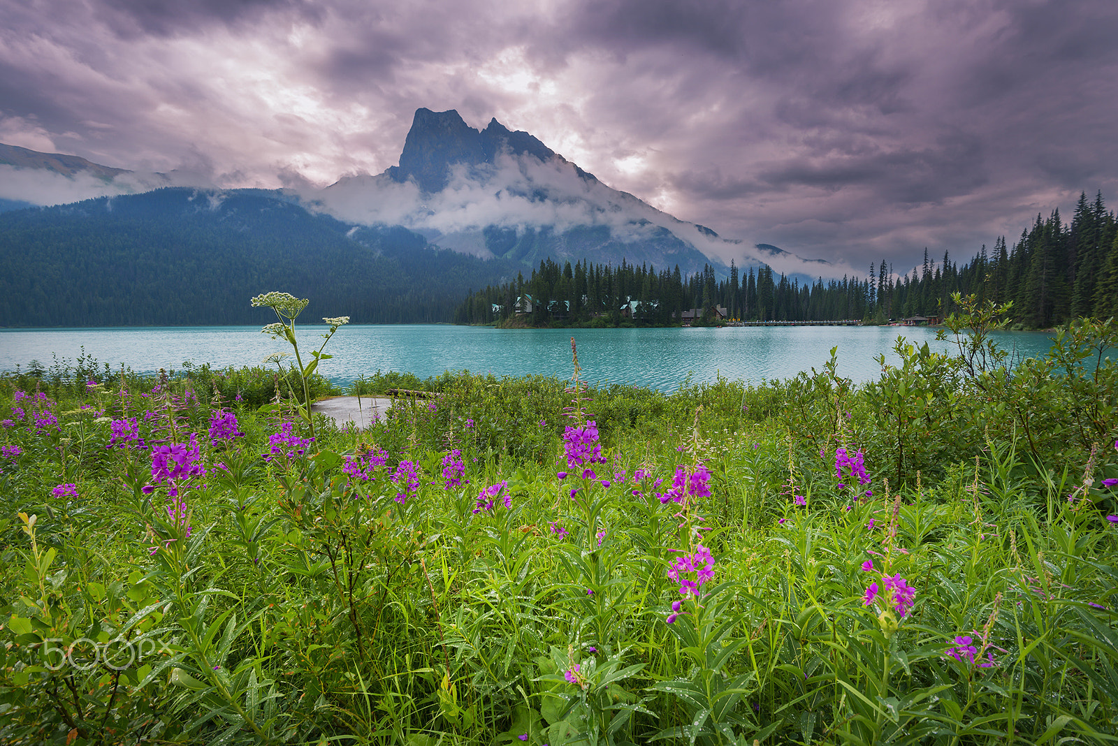 Nikon AF-S Nikkor 16-35mm F4G ED VR sample photo. Emerald lake photography