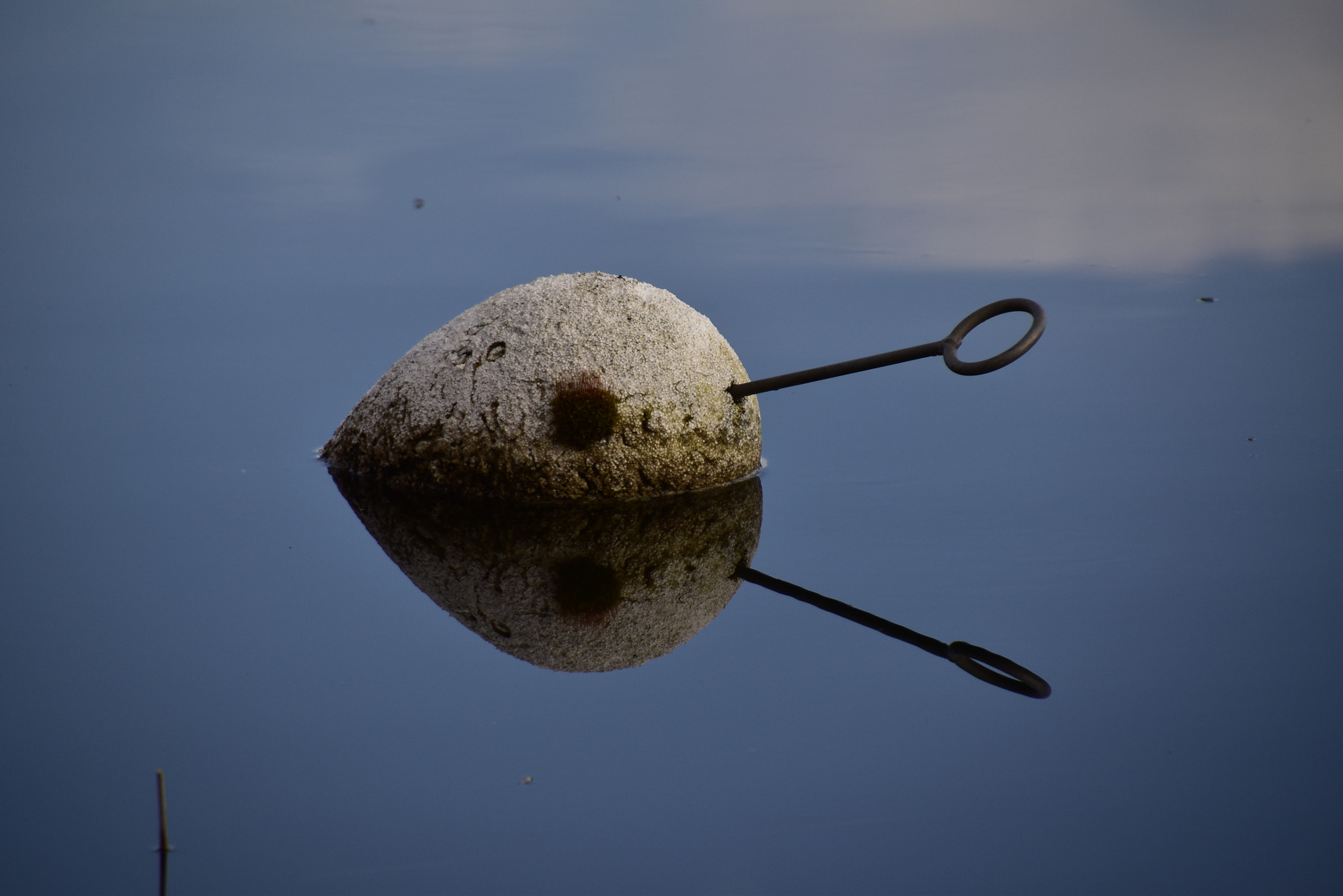 Nikon D5500 sample photo. Spegelblanka nömmen photography