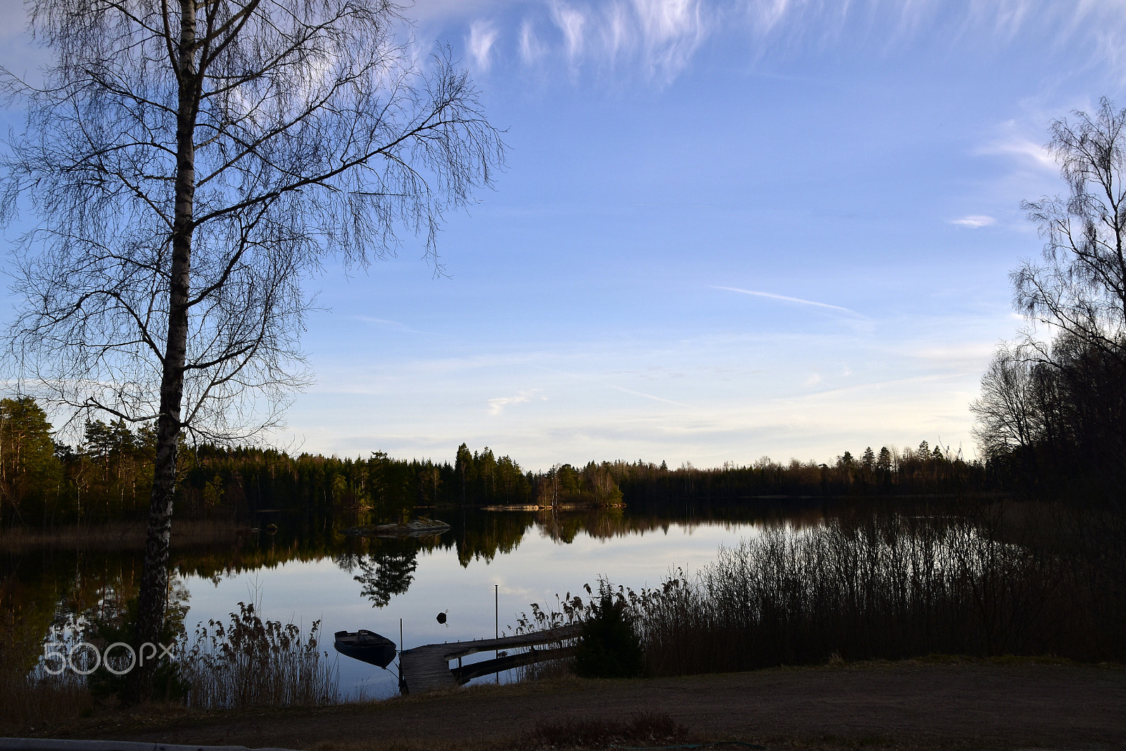 Nikon D5500 sample photo. Spegelblanka nömmen photography