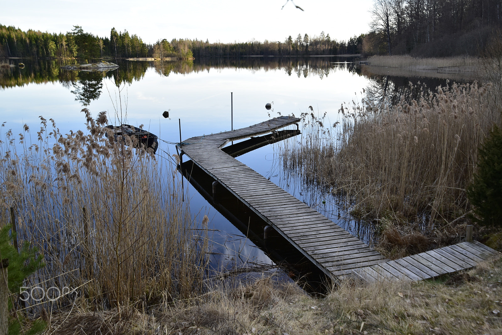 Nikon D5500 sample photo. Spegelblanka nömmen photography