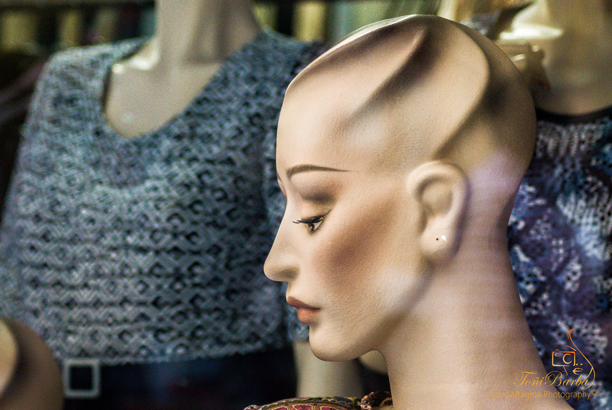 Nikon D80 sample photo. Alien photography