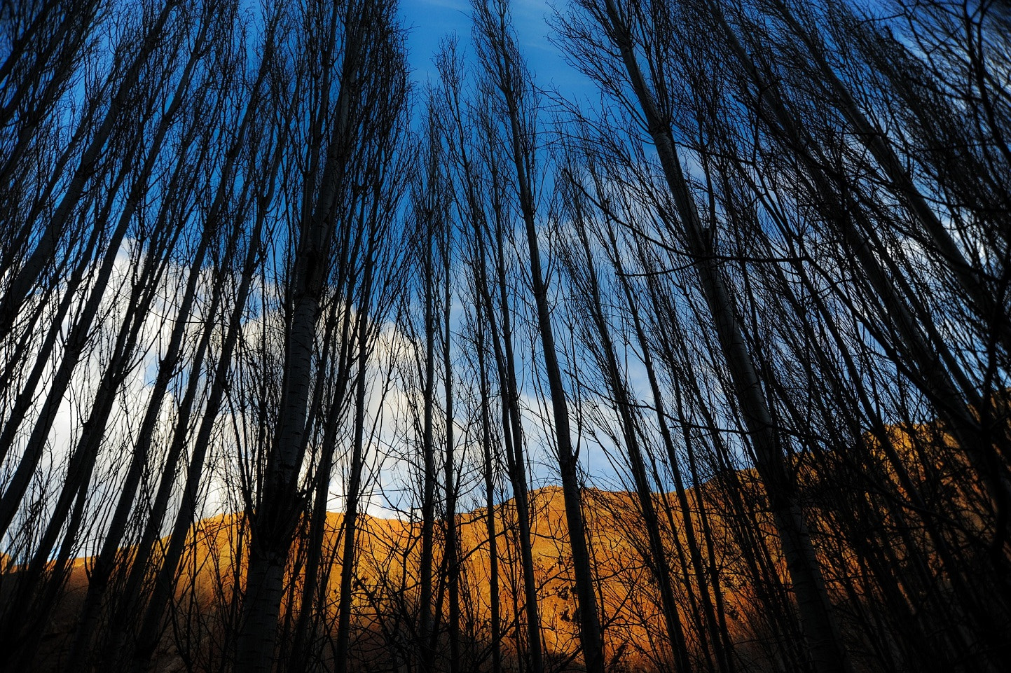 Nikon D700 sample photo. Exalted photography